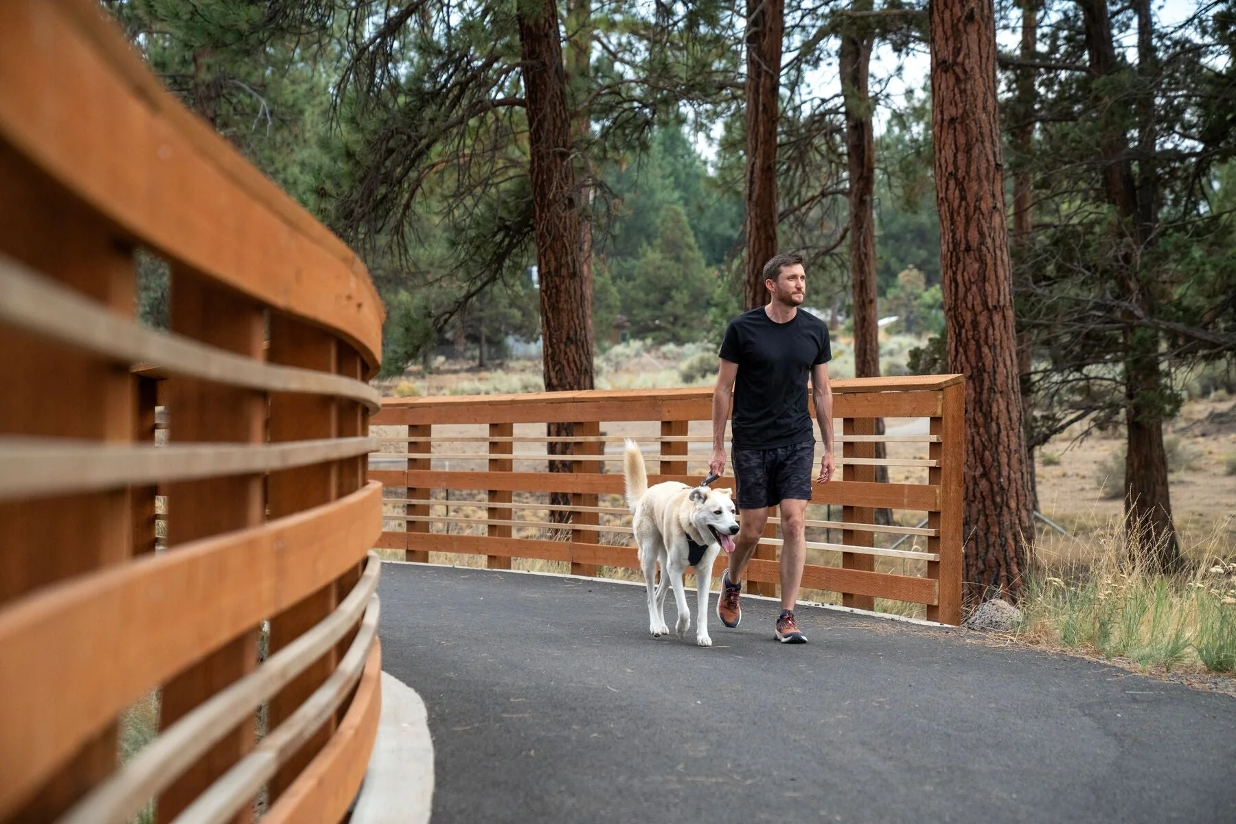 Imagen del producto 24