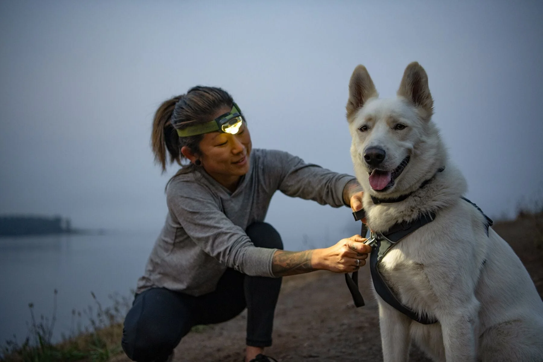 Imagen del producto 29