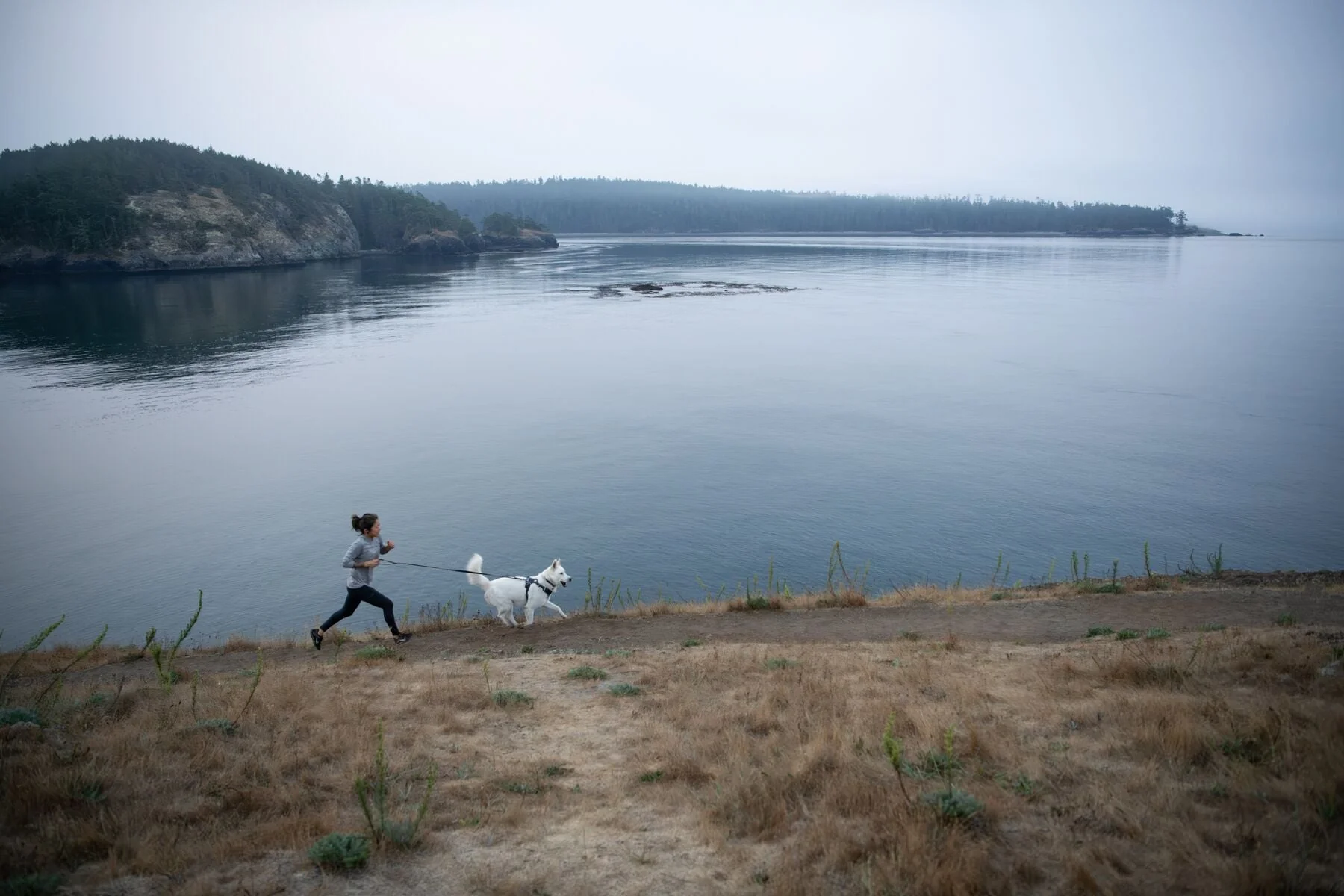 Imagen del producto 30