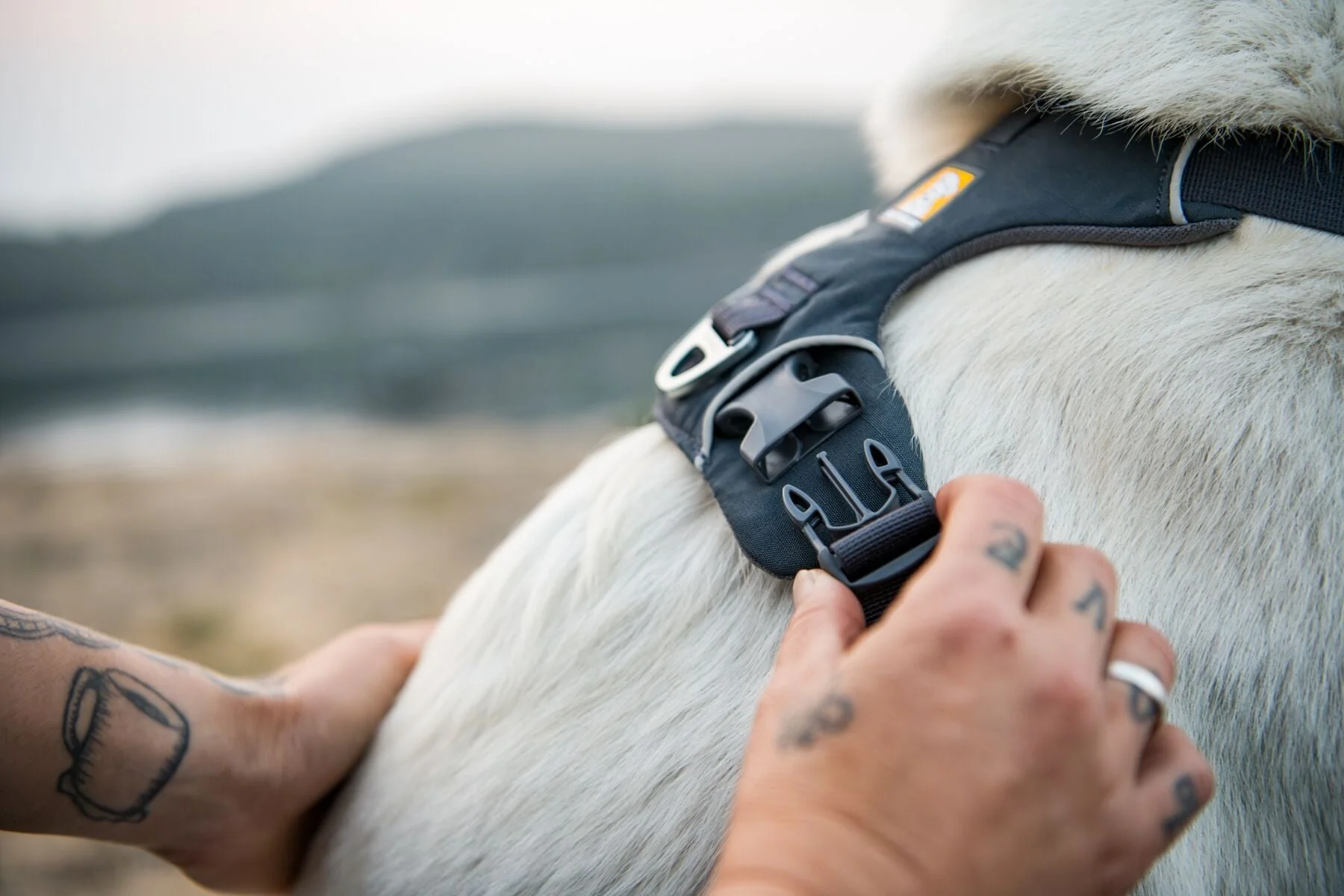 Imagen del producto 34