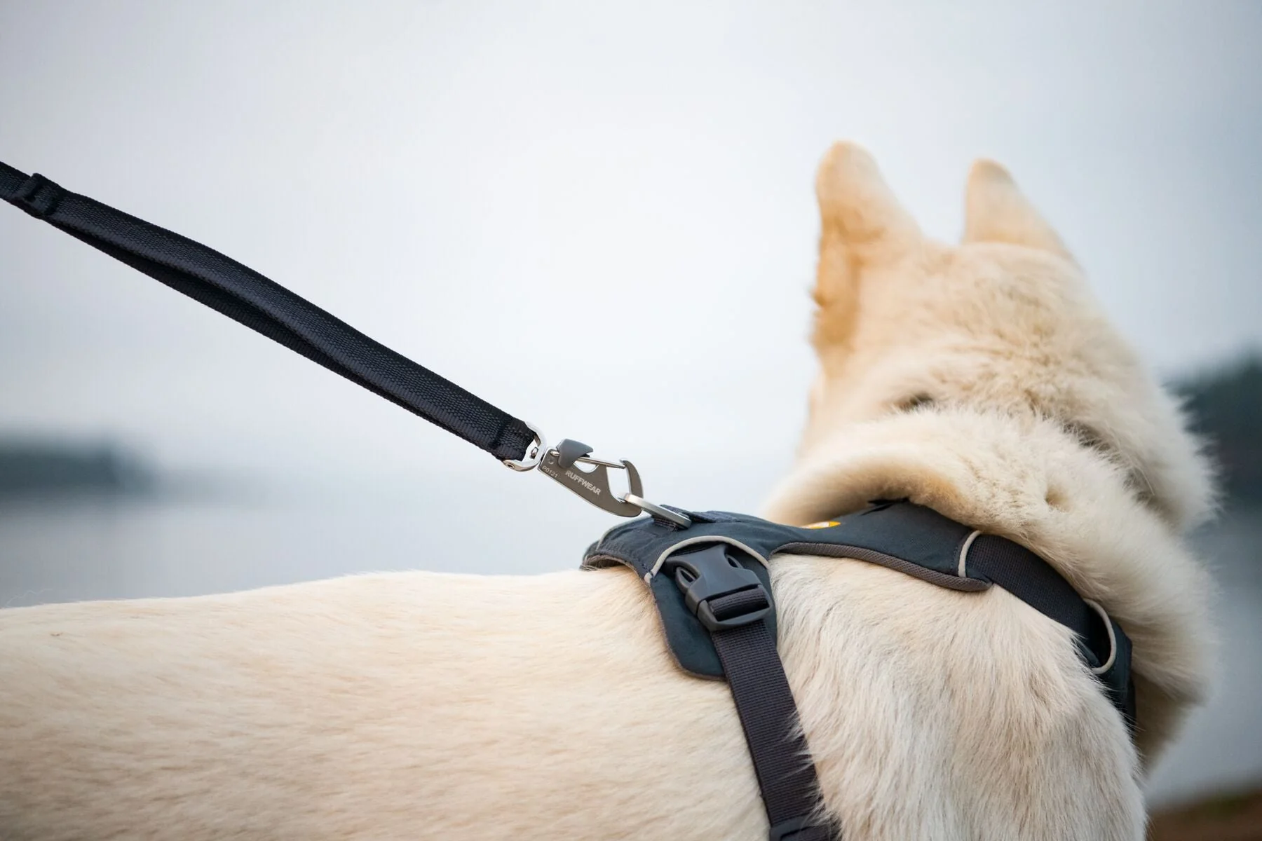 Imagen del producto 36