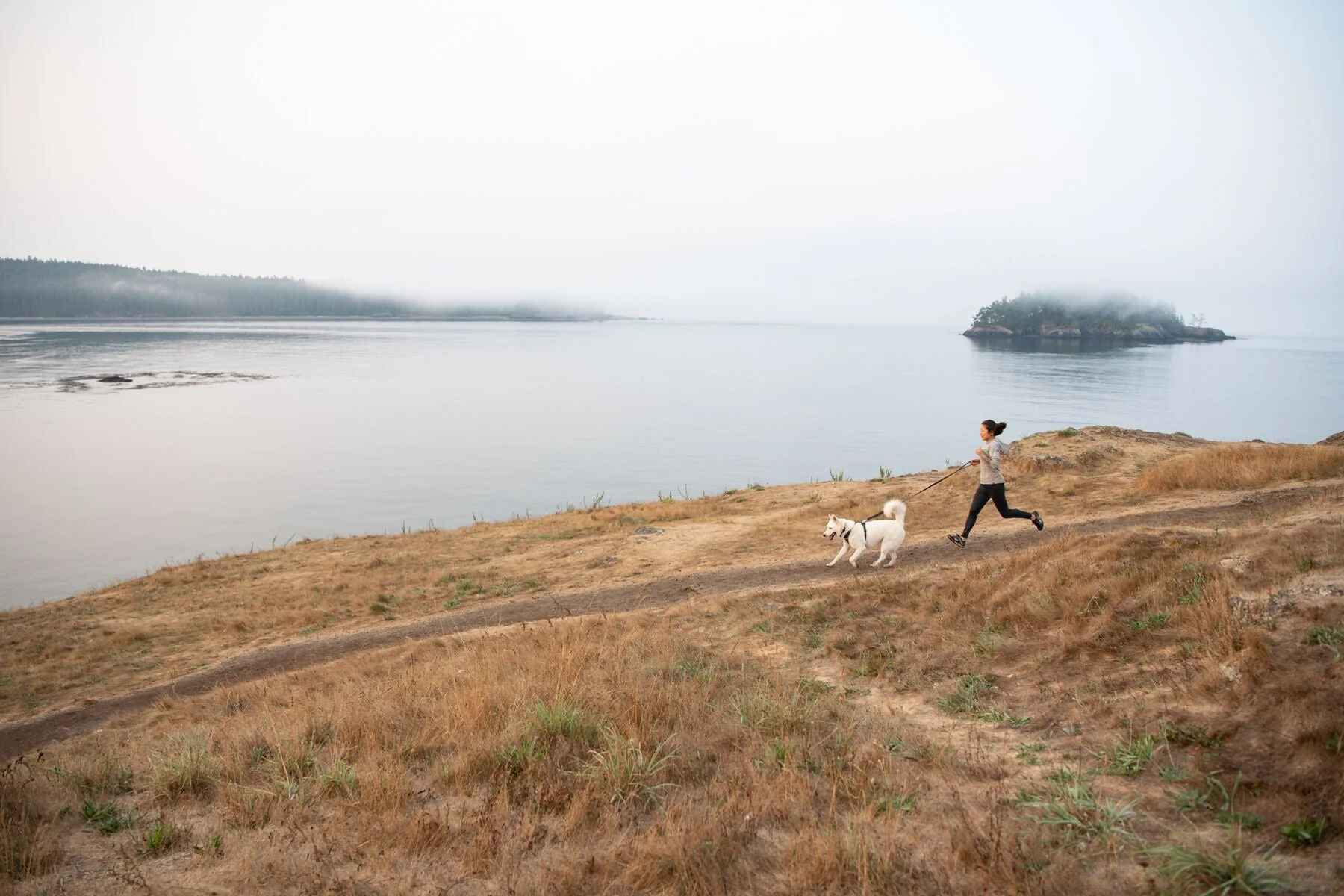 Imagen del producto 37