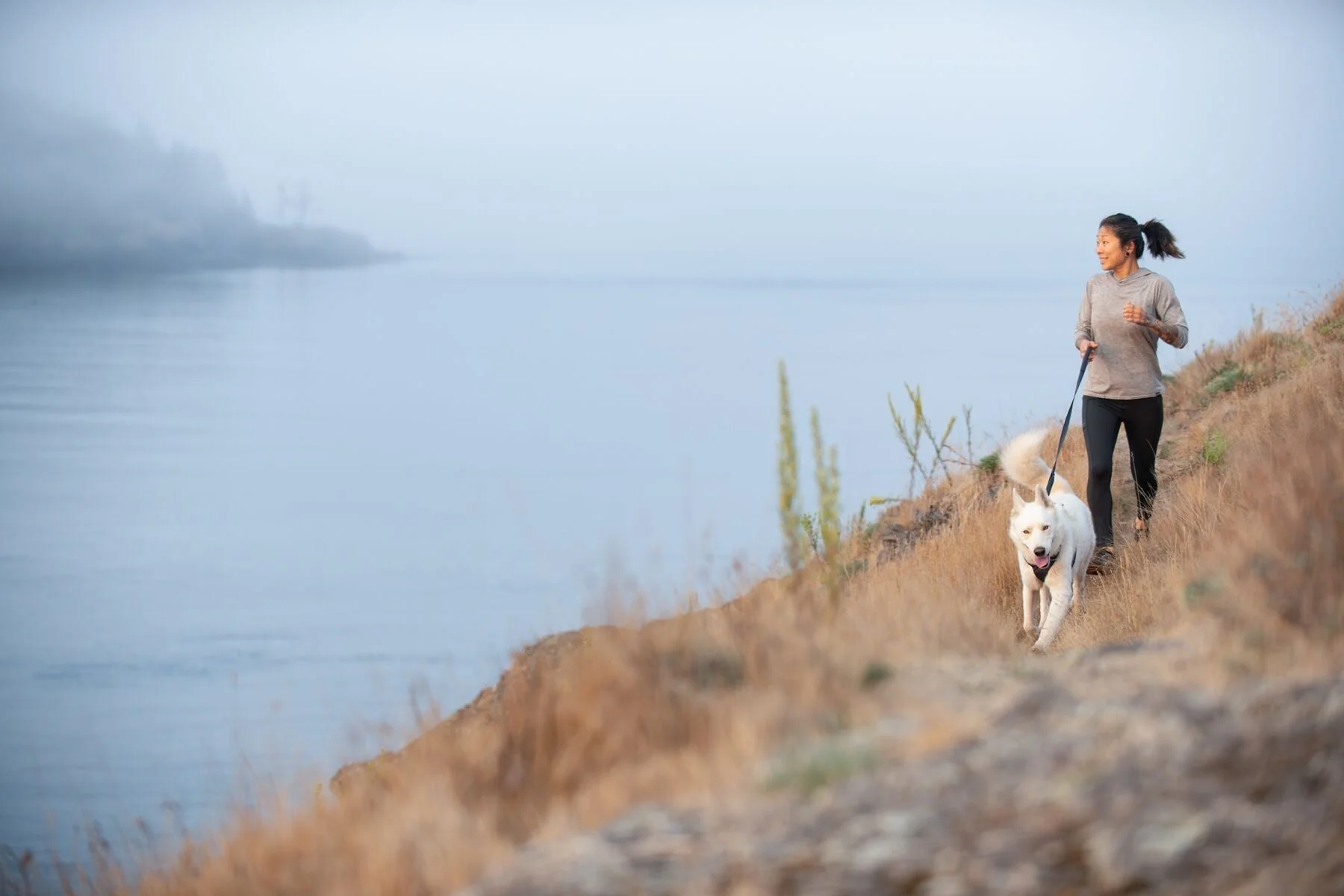 Imagen del producto 39