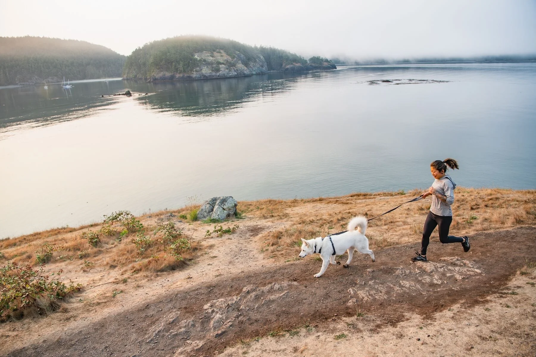 Imagen del producto 40