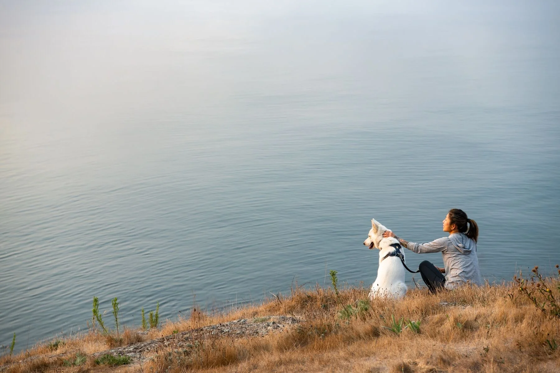 Imagen del producto 42