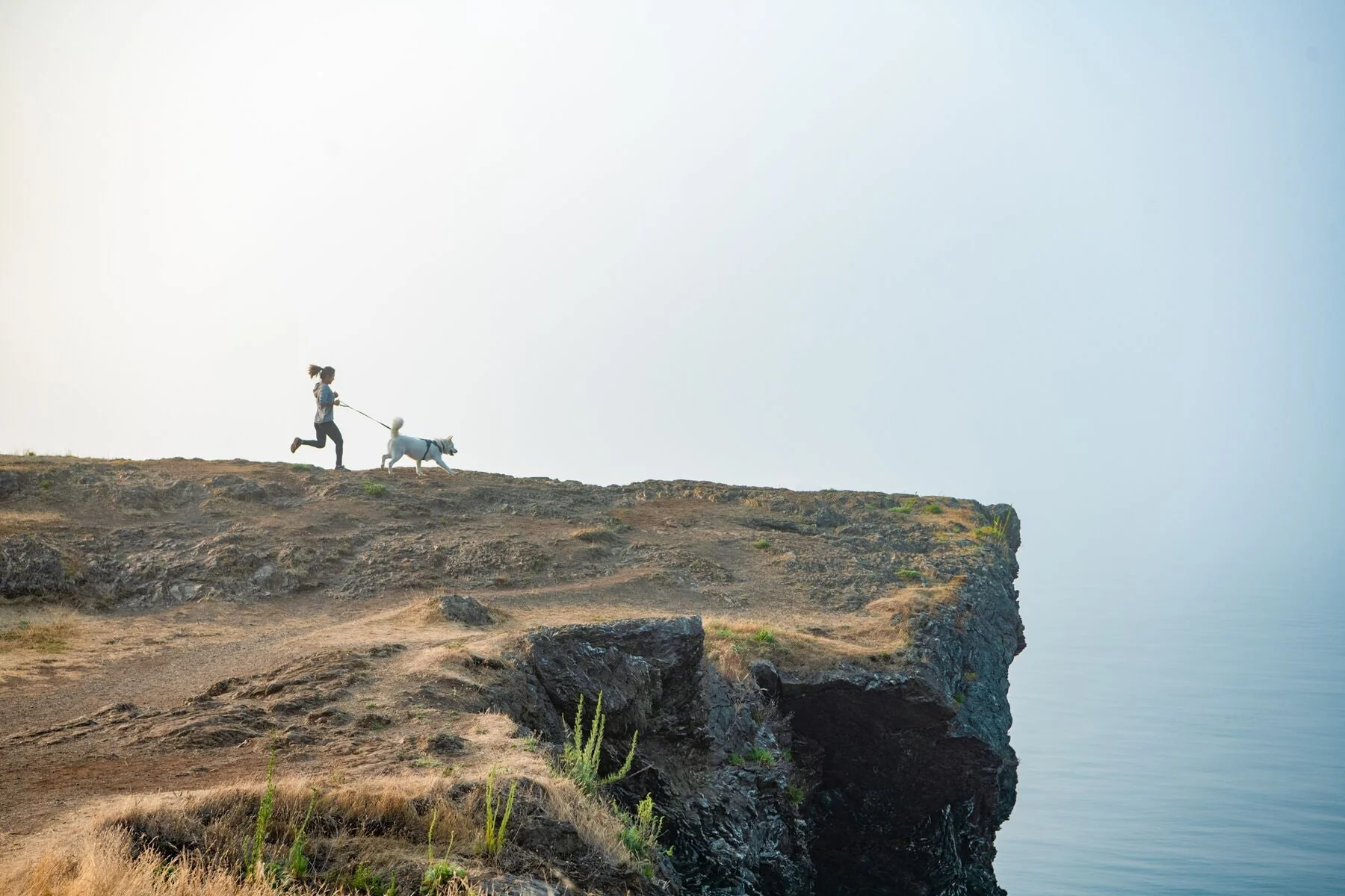 Imagen del producto 45