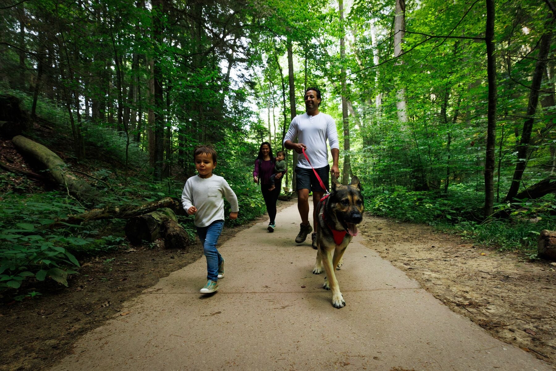 Imagen del producto 15