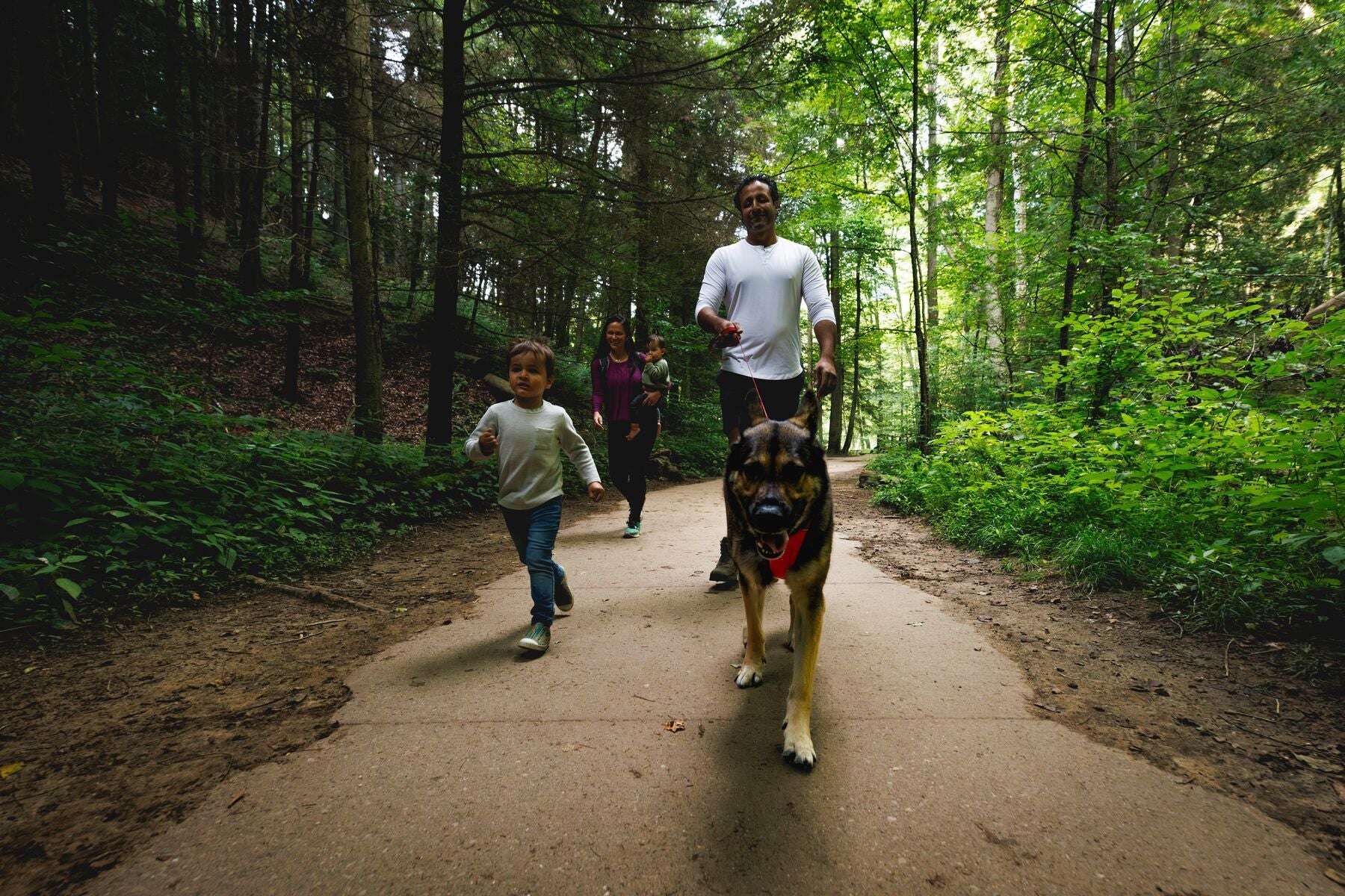 Imagen del producto 17