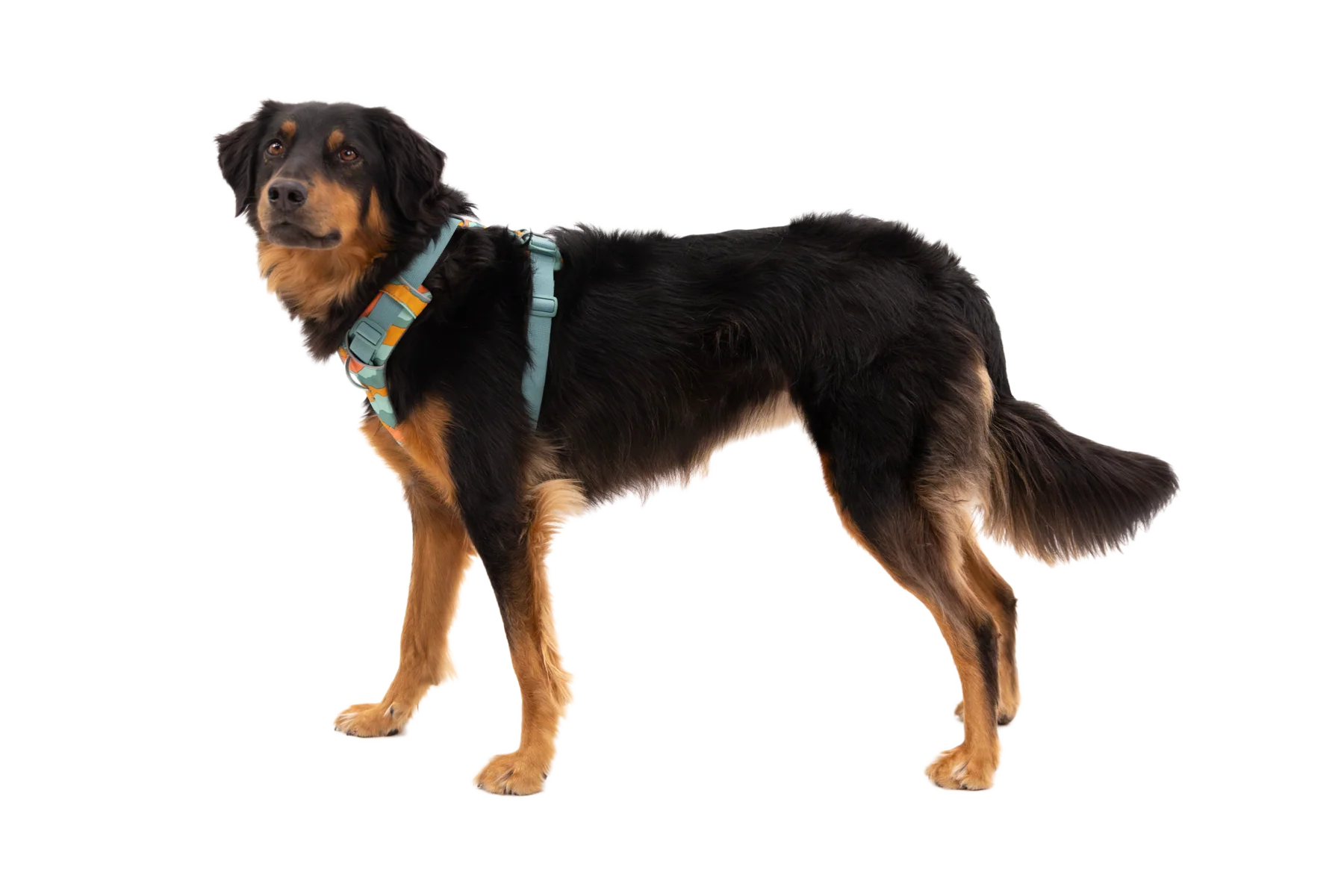 Imagen del producto 13