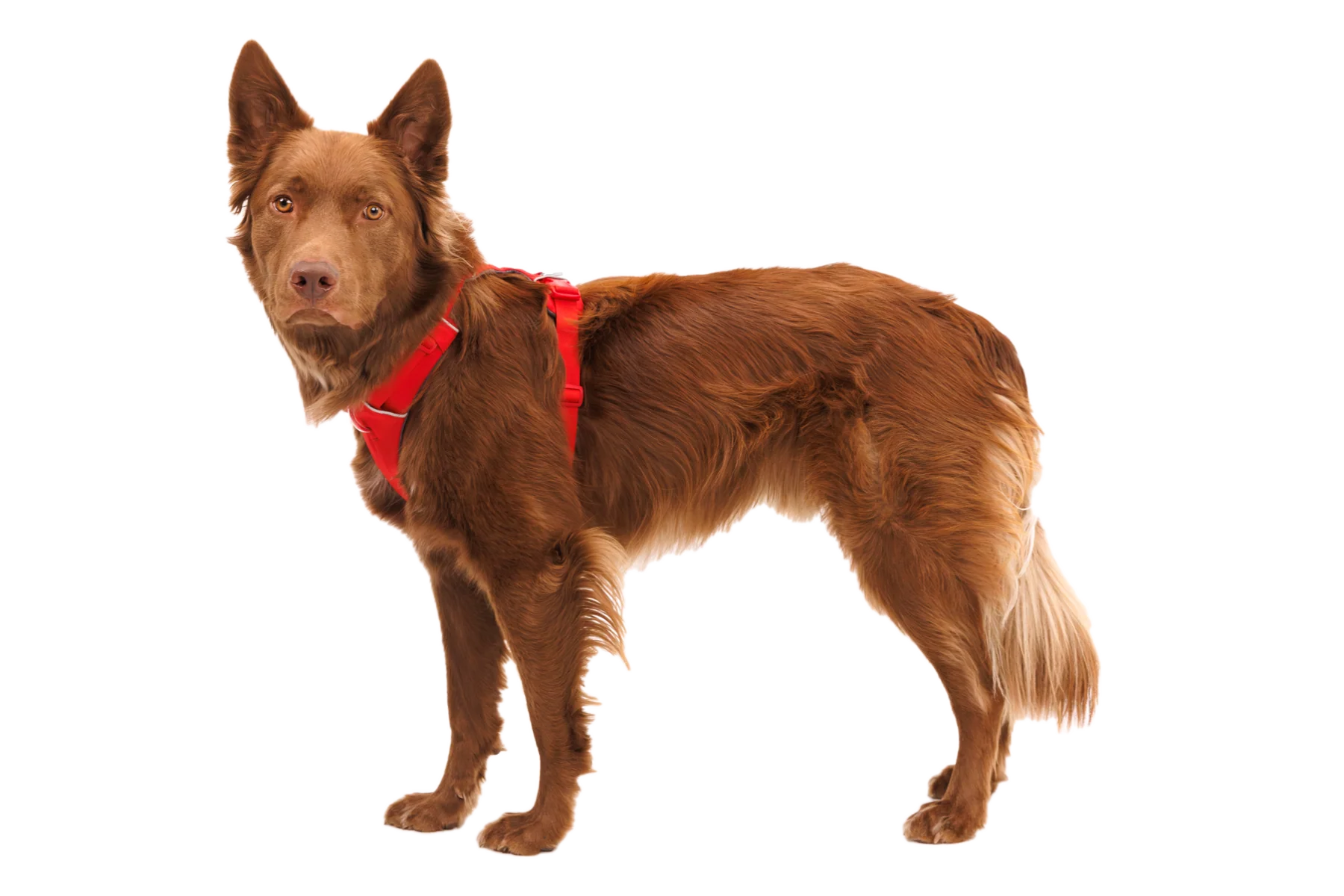 Imagen del producto 14