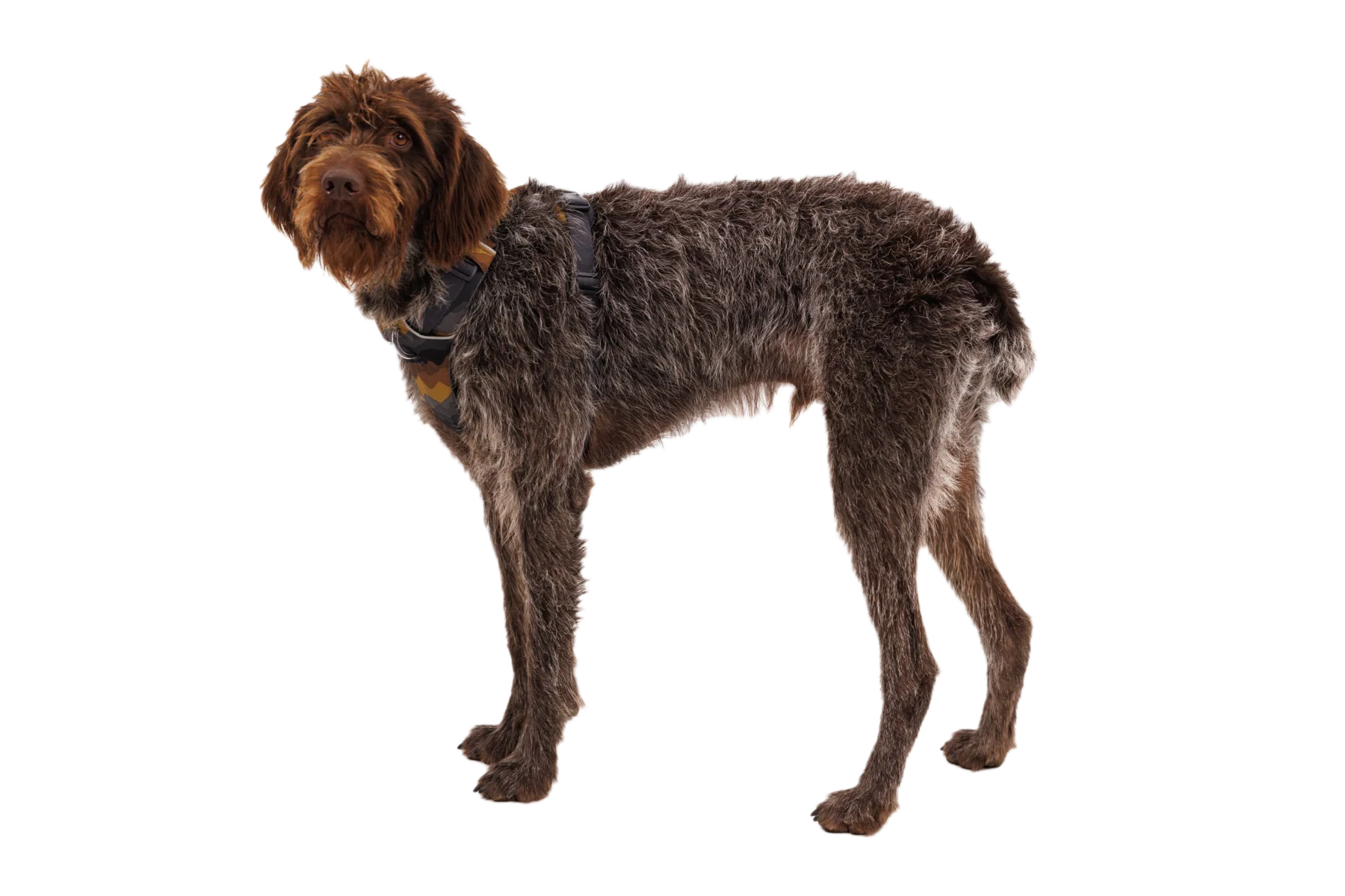 Imagen del producto 15