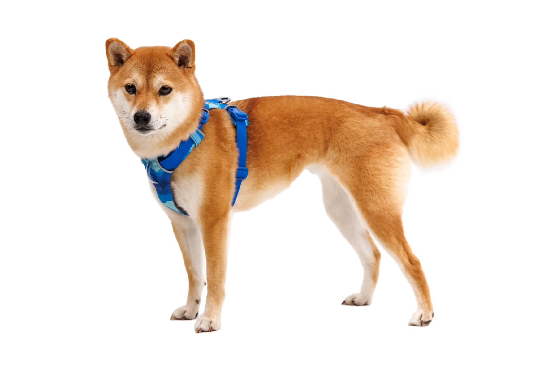 Imagen del producto 16