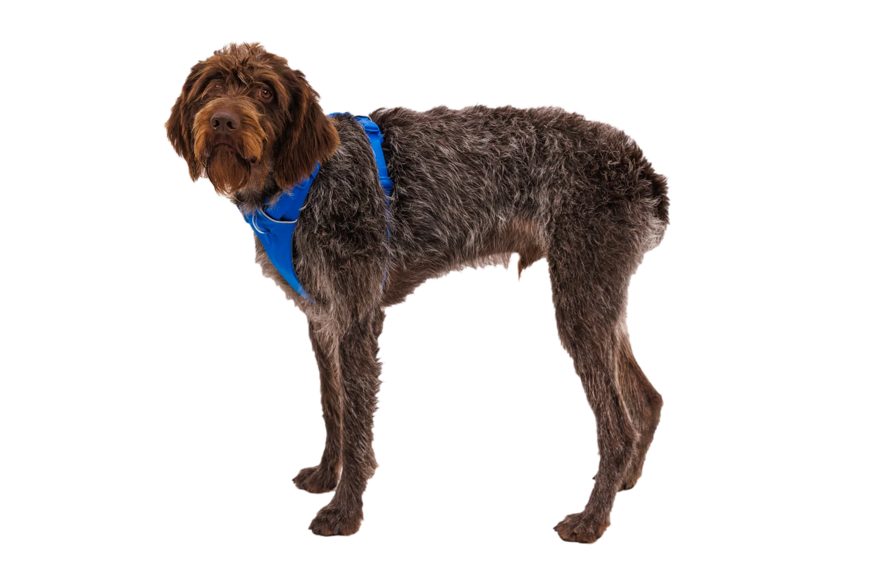 Imagen del producto 17