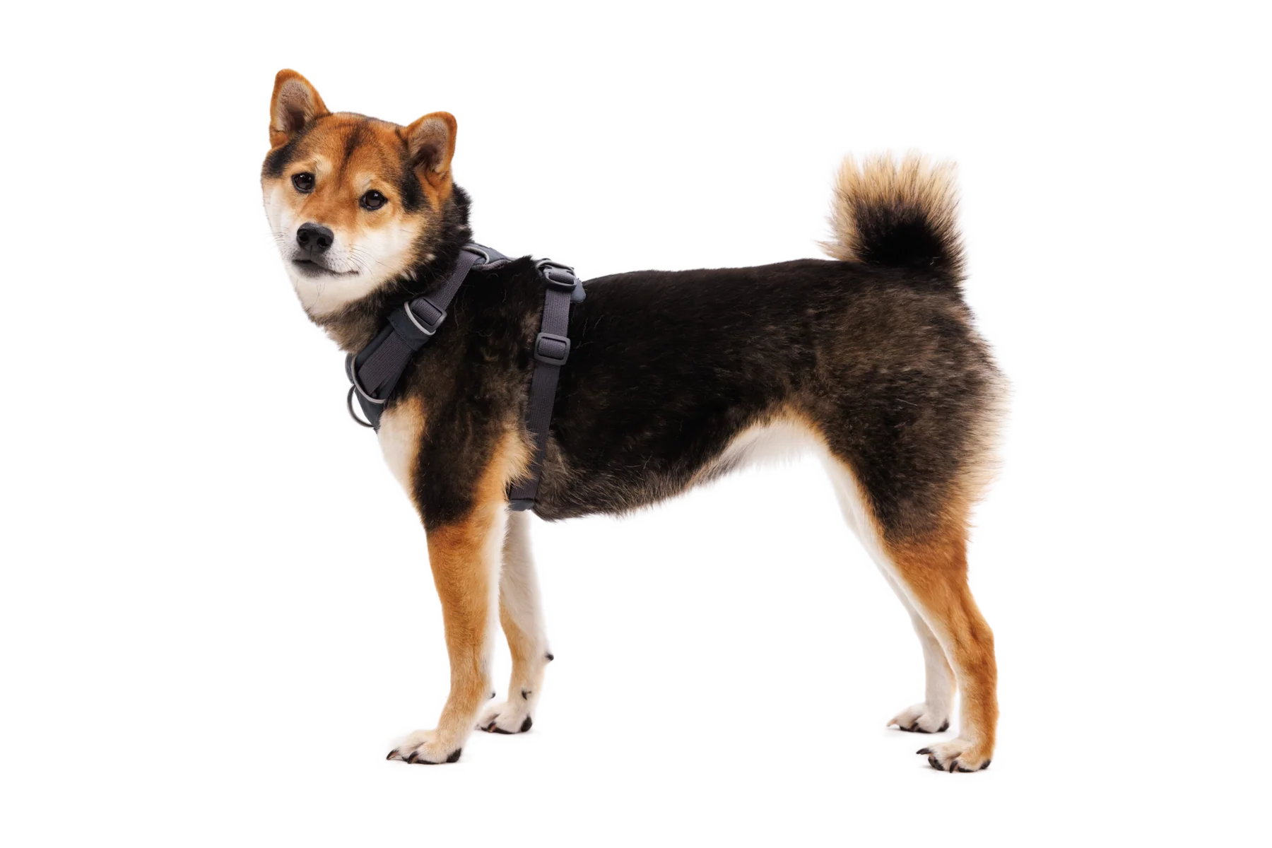 Imagen del producto 18