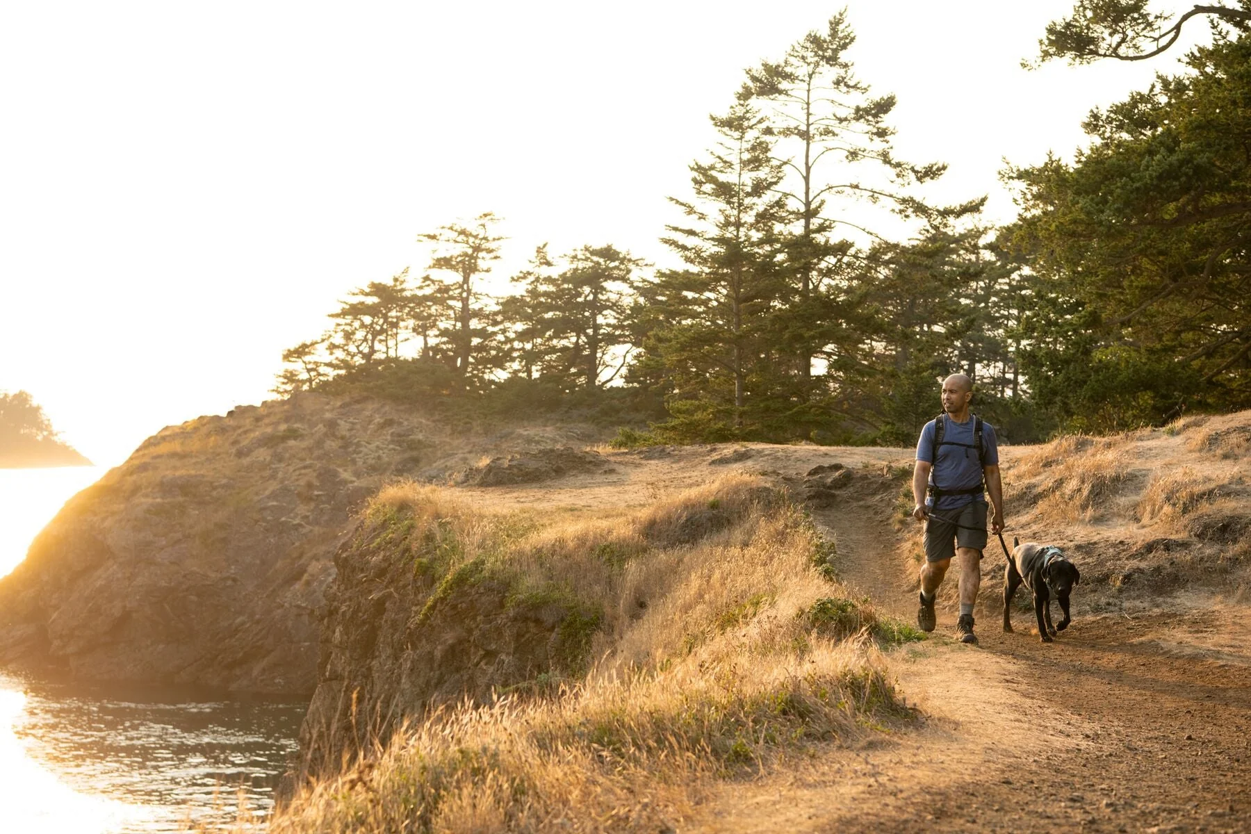 Imagen del producto 9