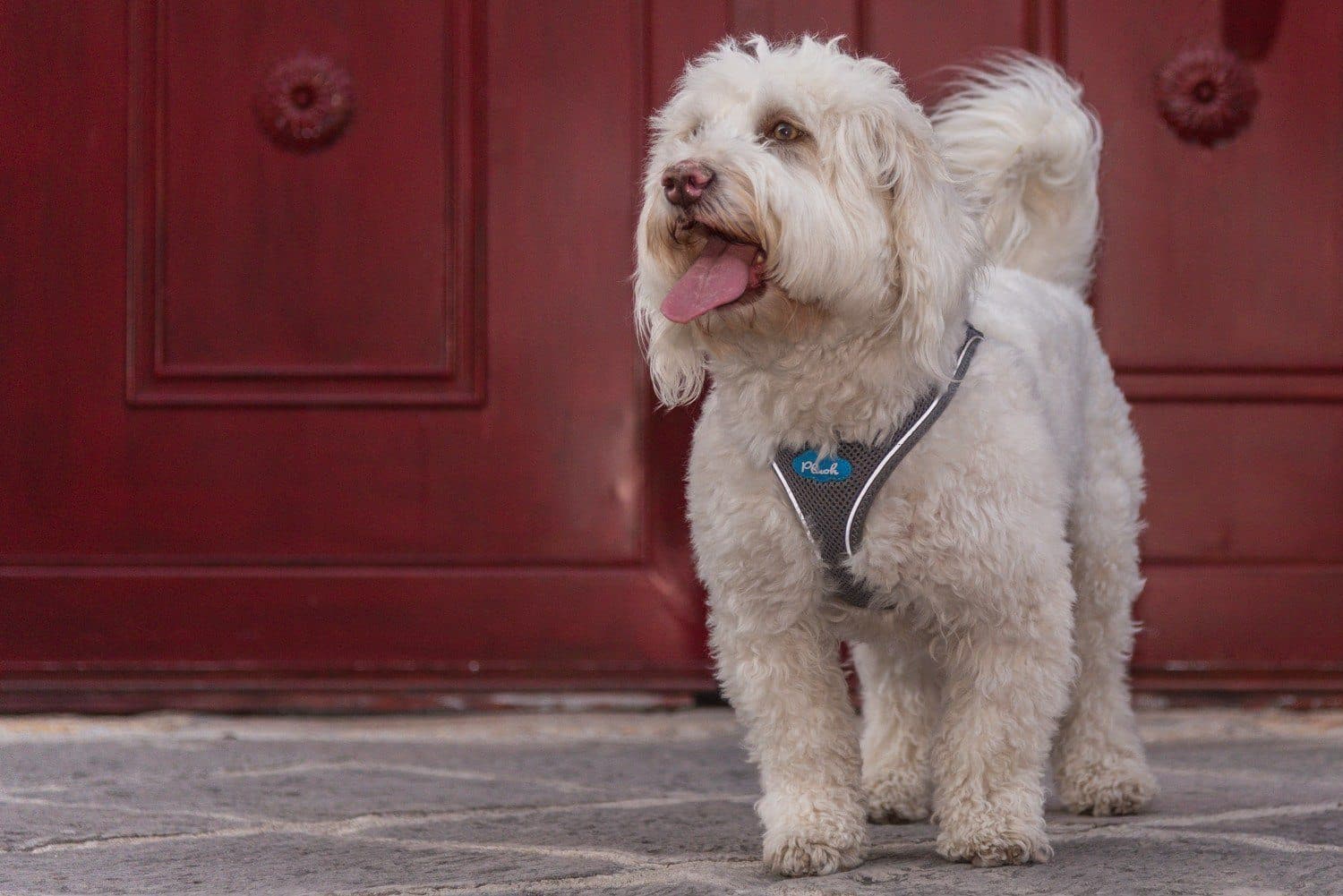 Imagen del producto 11