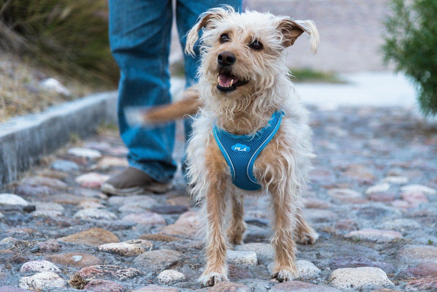 Imagen del producto 48