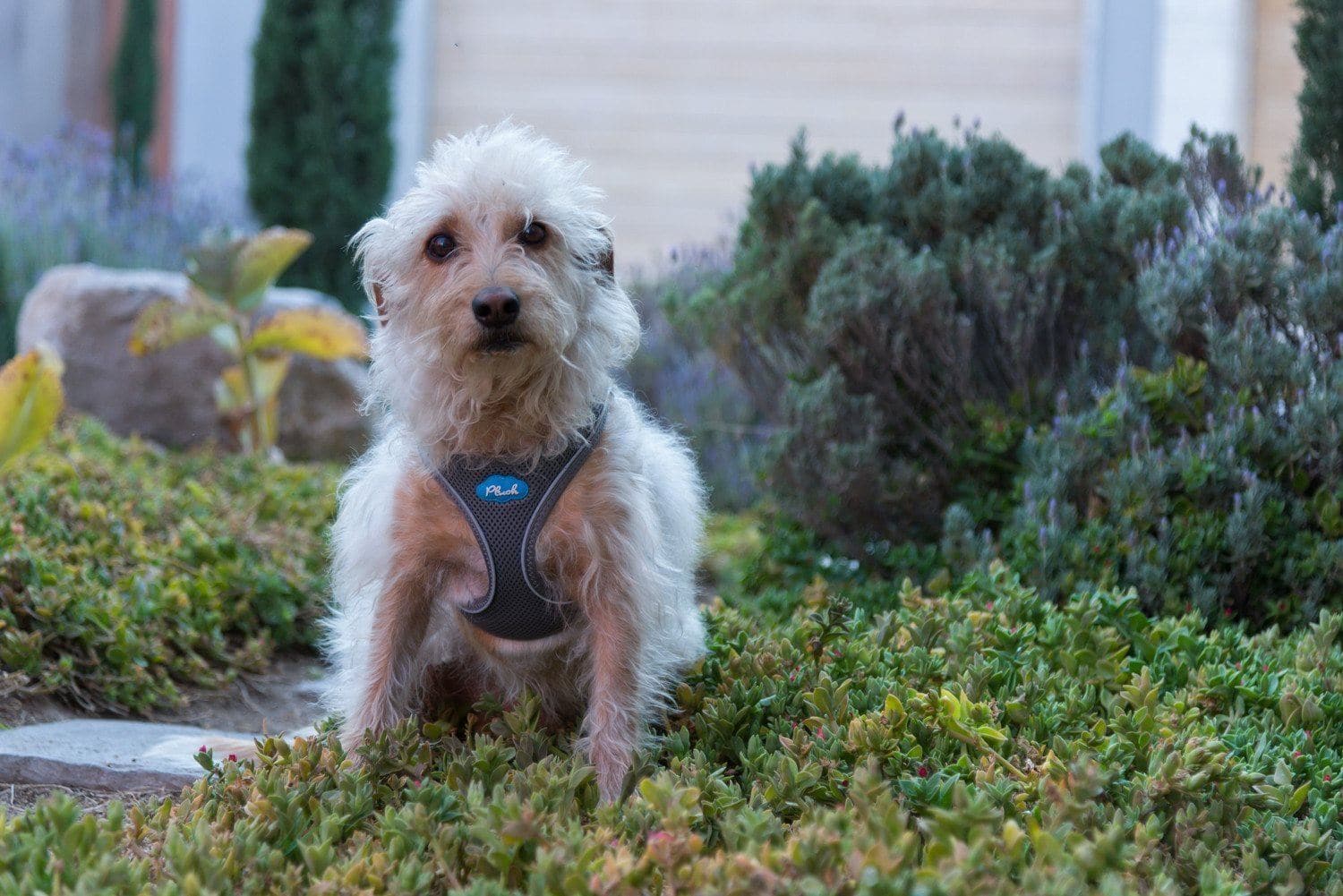 Imagen del producto 48