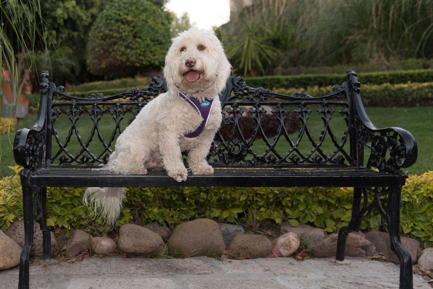 Imagen del producto 13