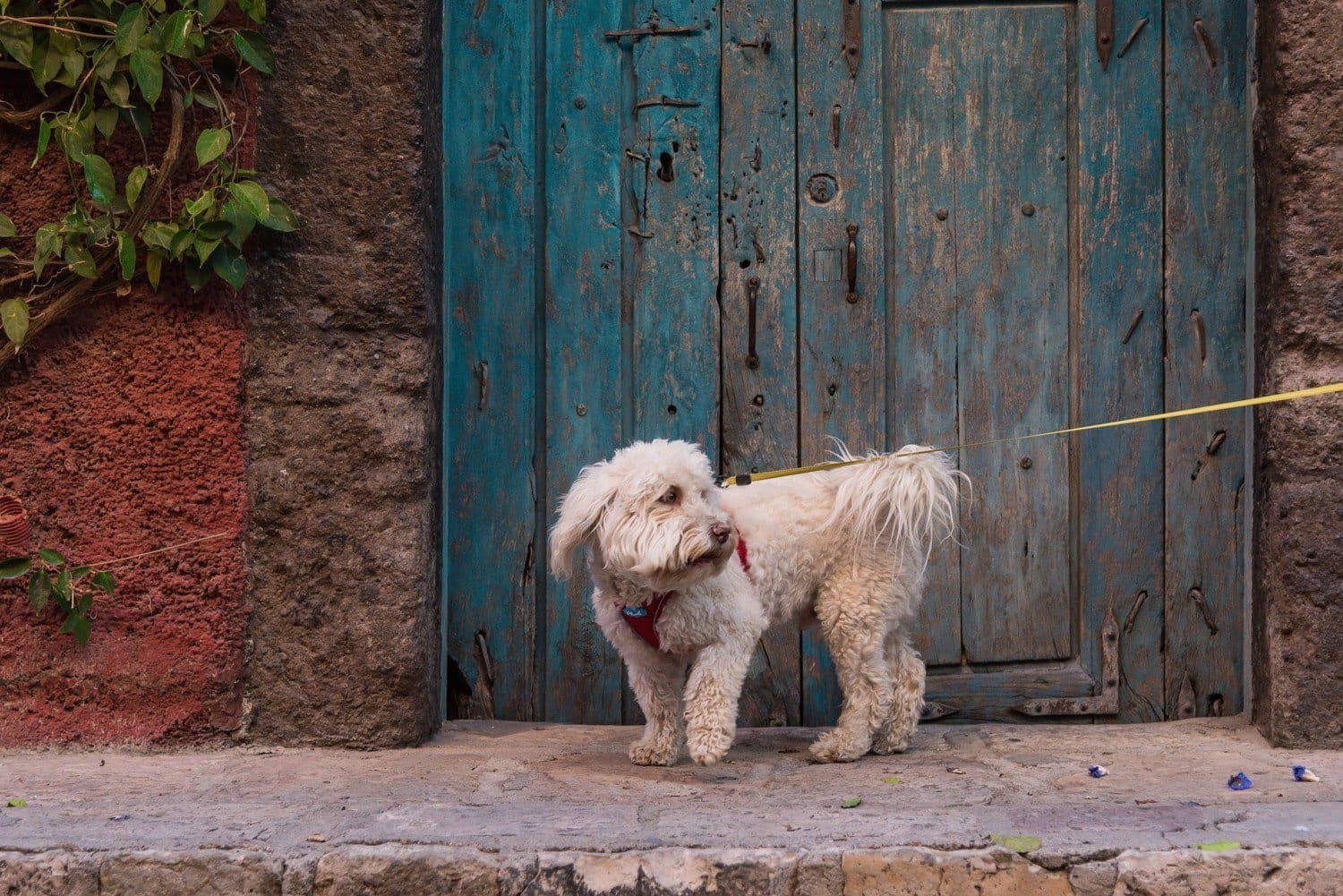 Imagen del producto 25