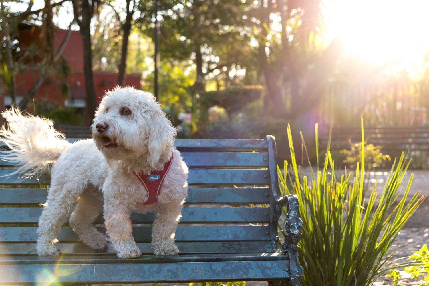 Imagen del producto 27