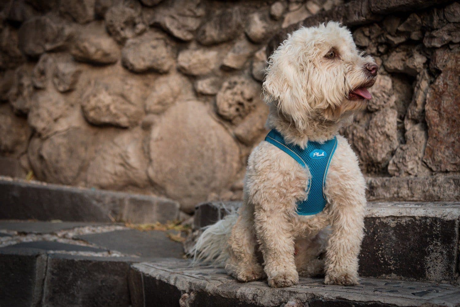 Imagen del producto 31