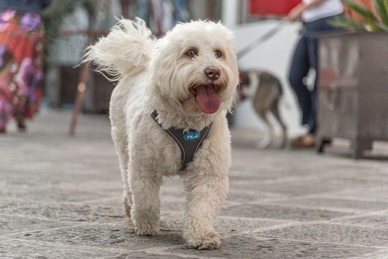 Imagen del producto 8