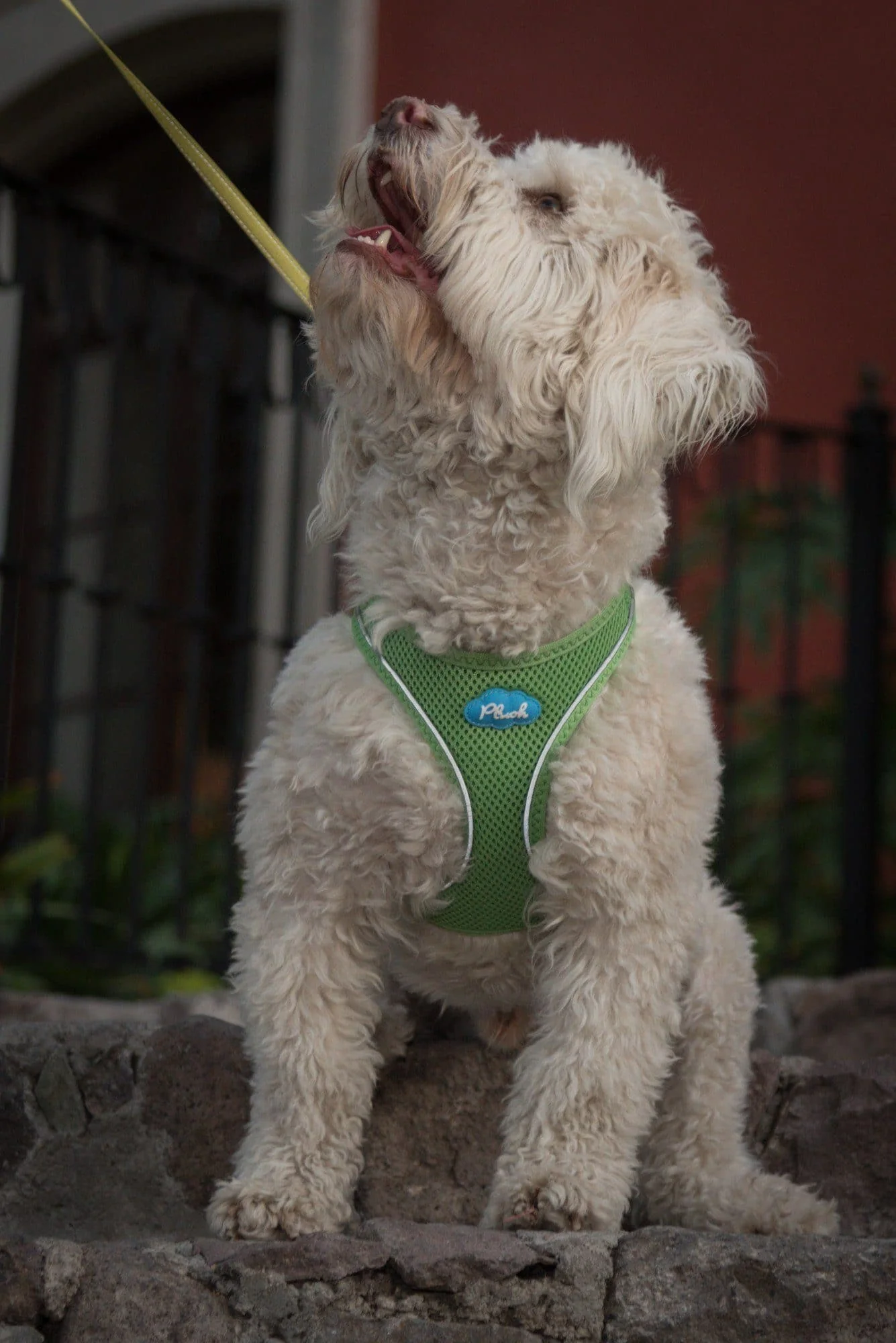 Imagen del producto 10