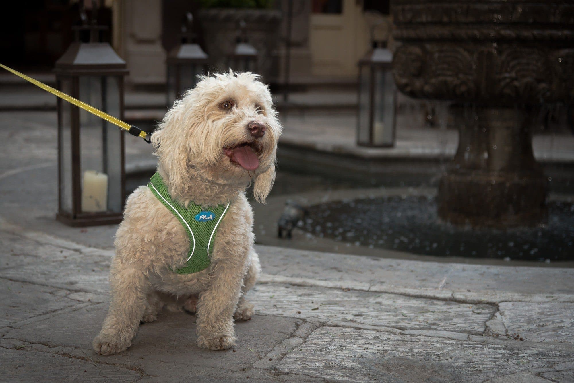 Imagen del producto 11