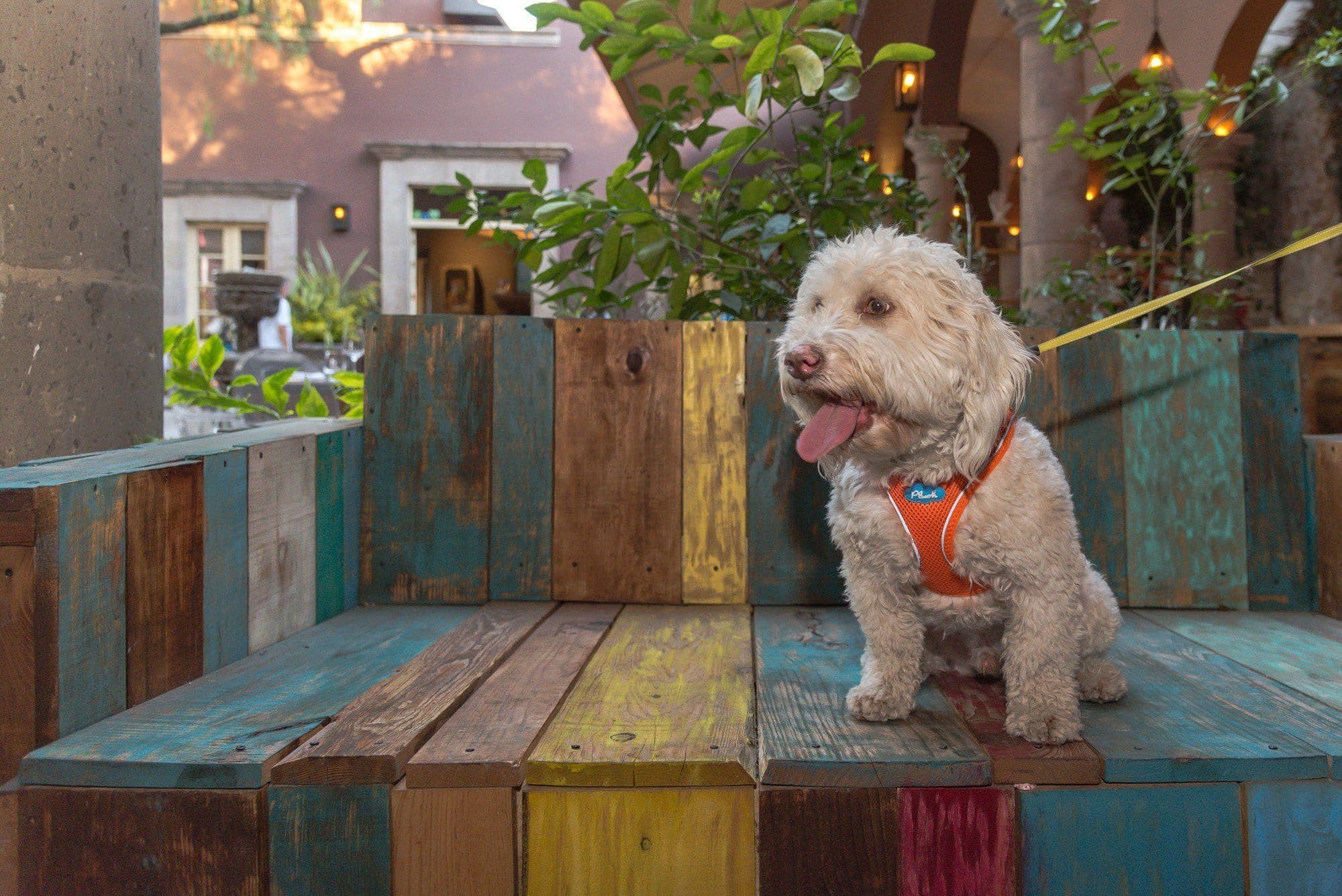 Imagen del producto 12