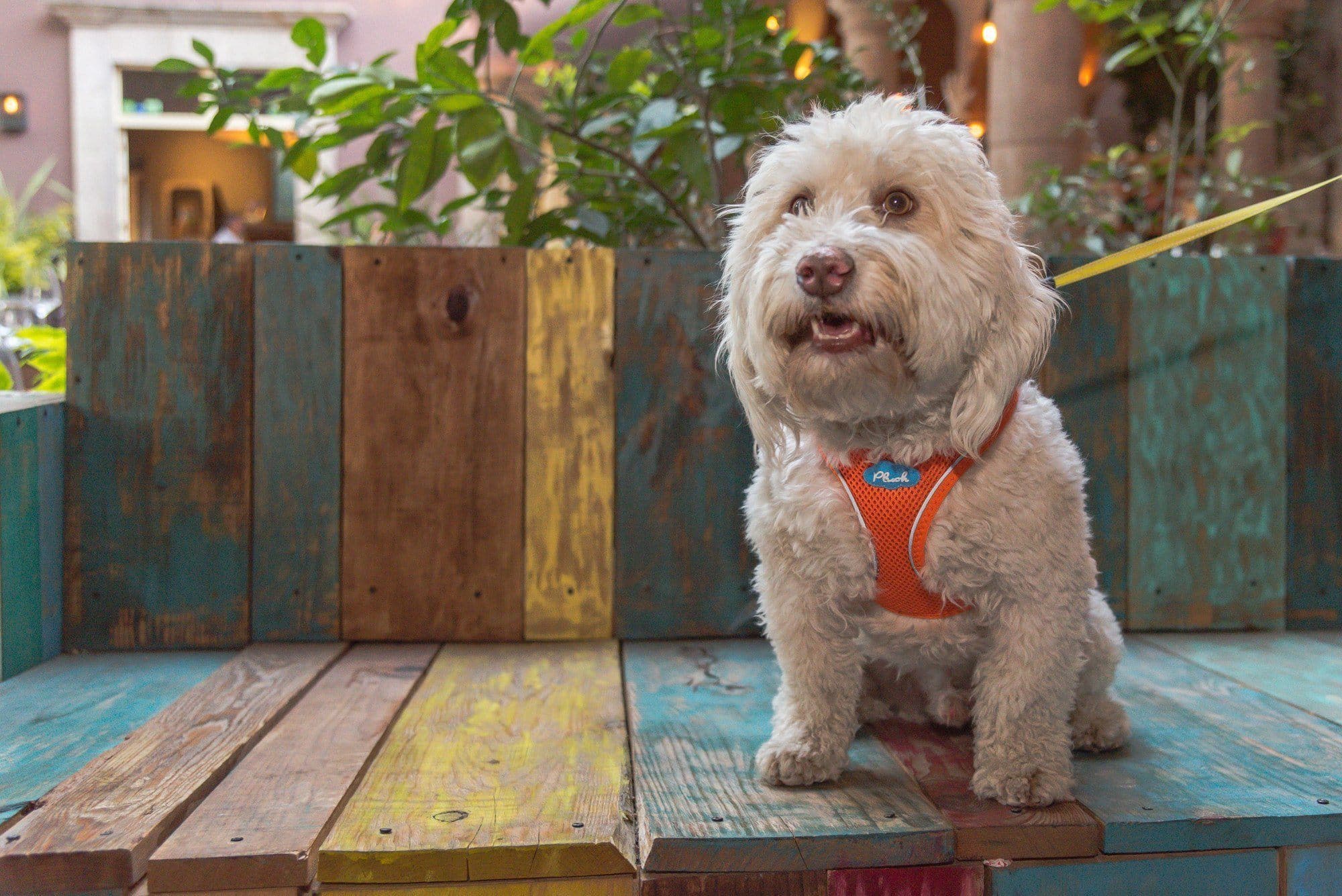 Imagen del producto 13