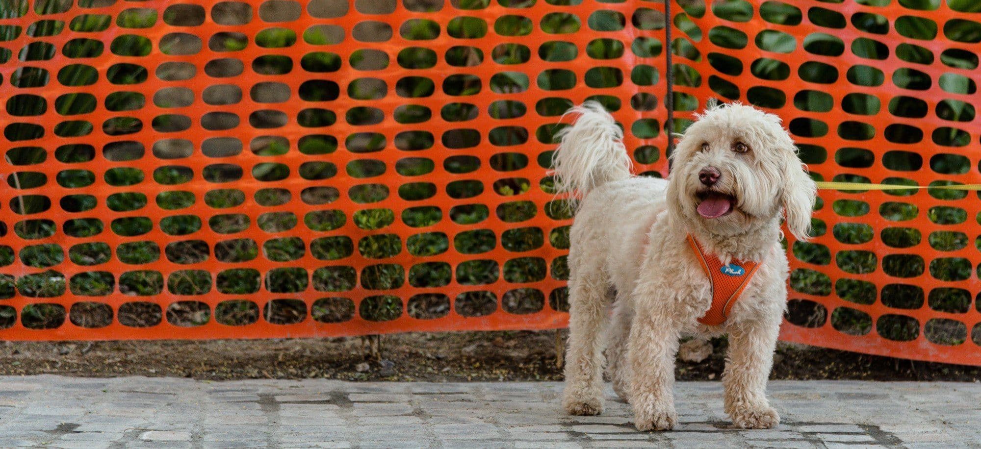 Imagen del producto 14