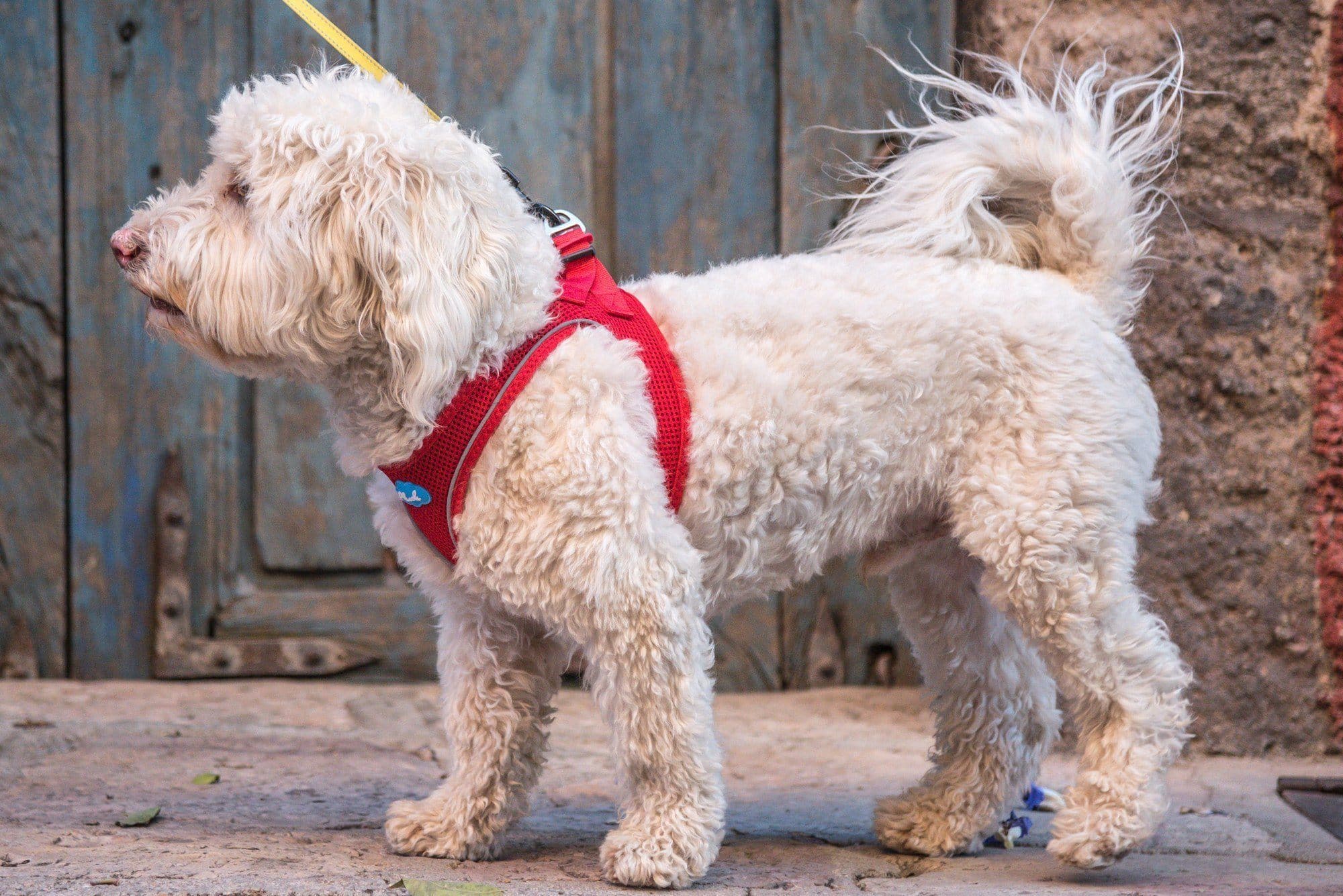 Imagen del producto 15