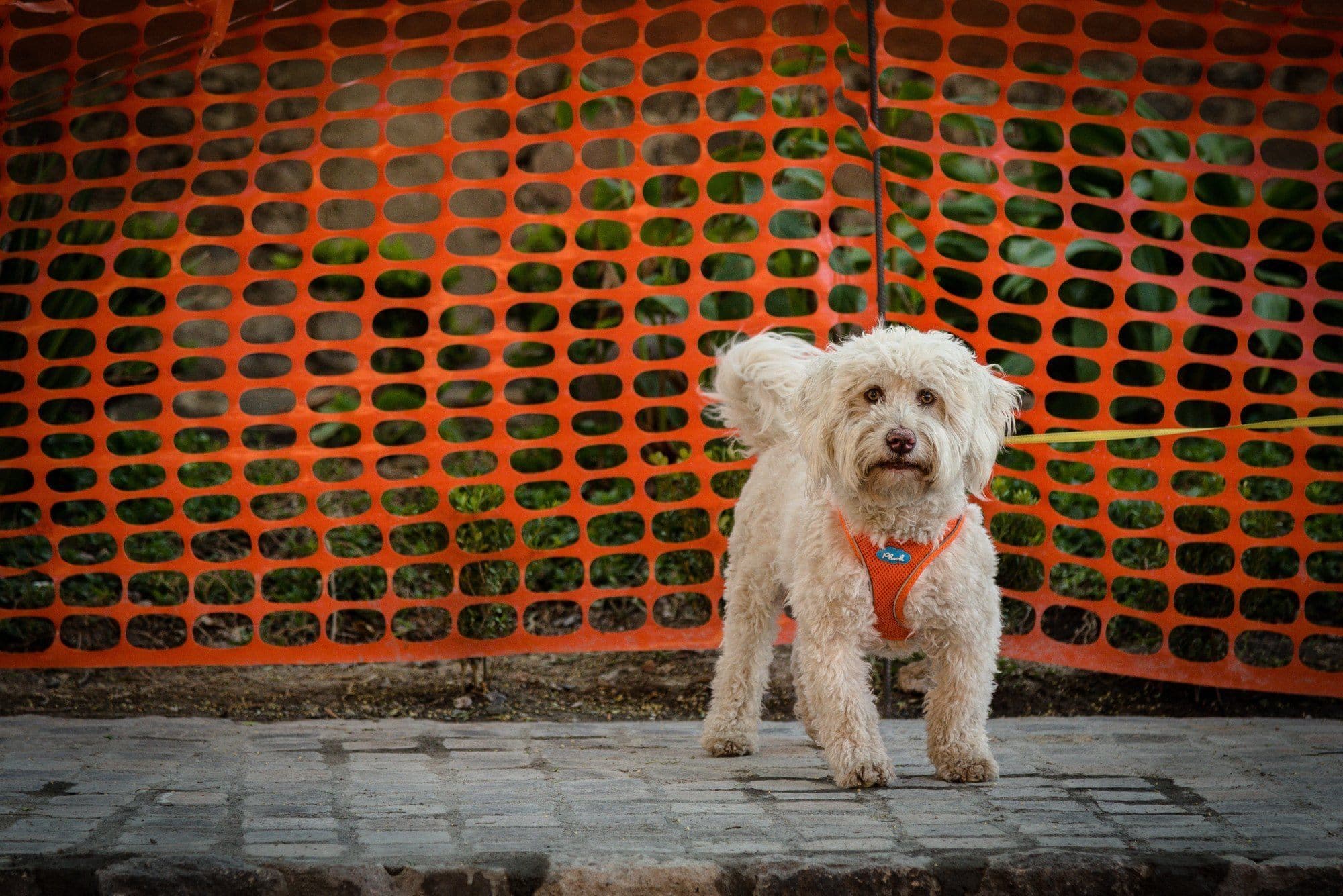 Imagen del producto 16