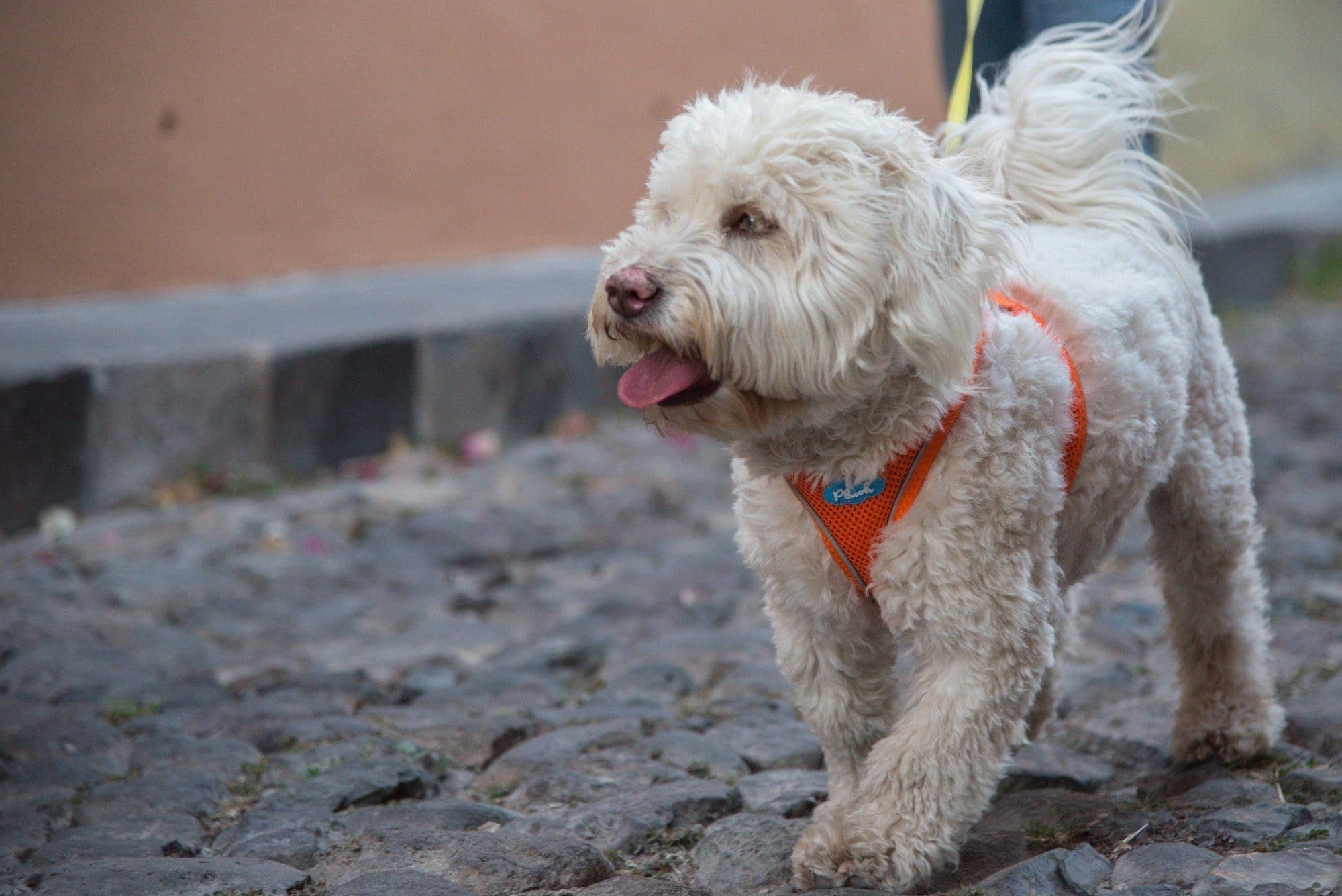 Imagen del producto 17