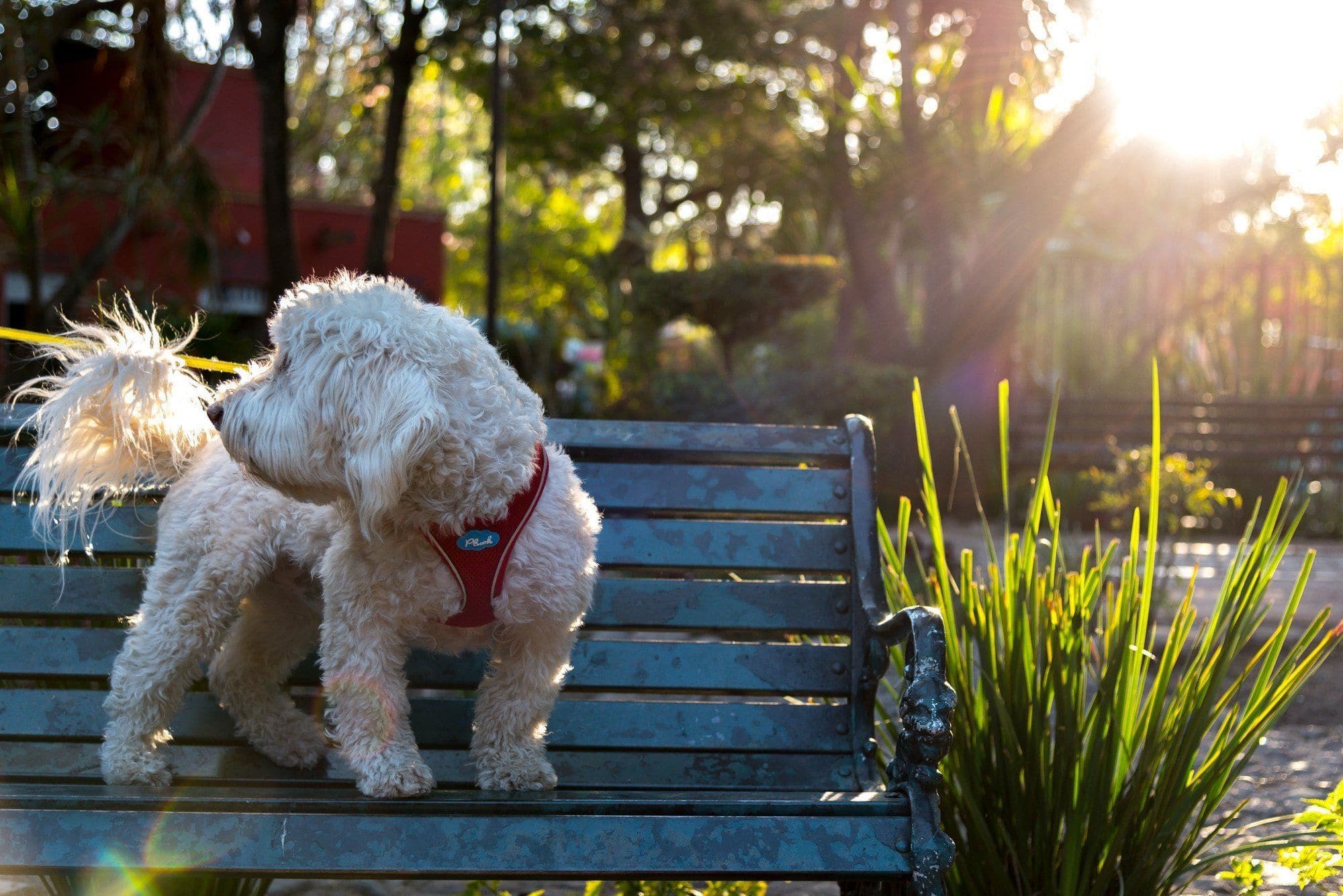 Imagen del producto 20