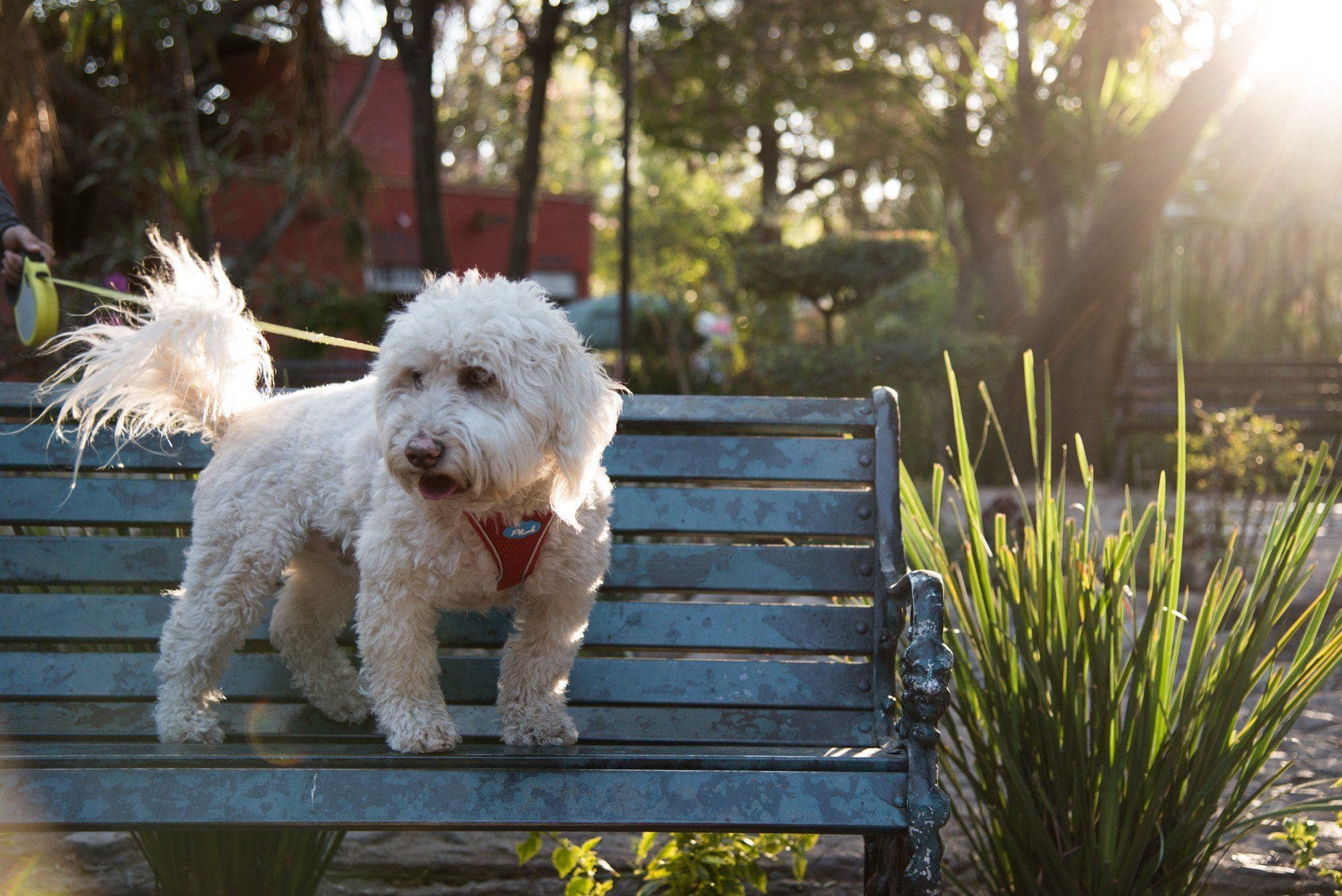 Imagen del producto 22