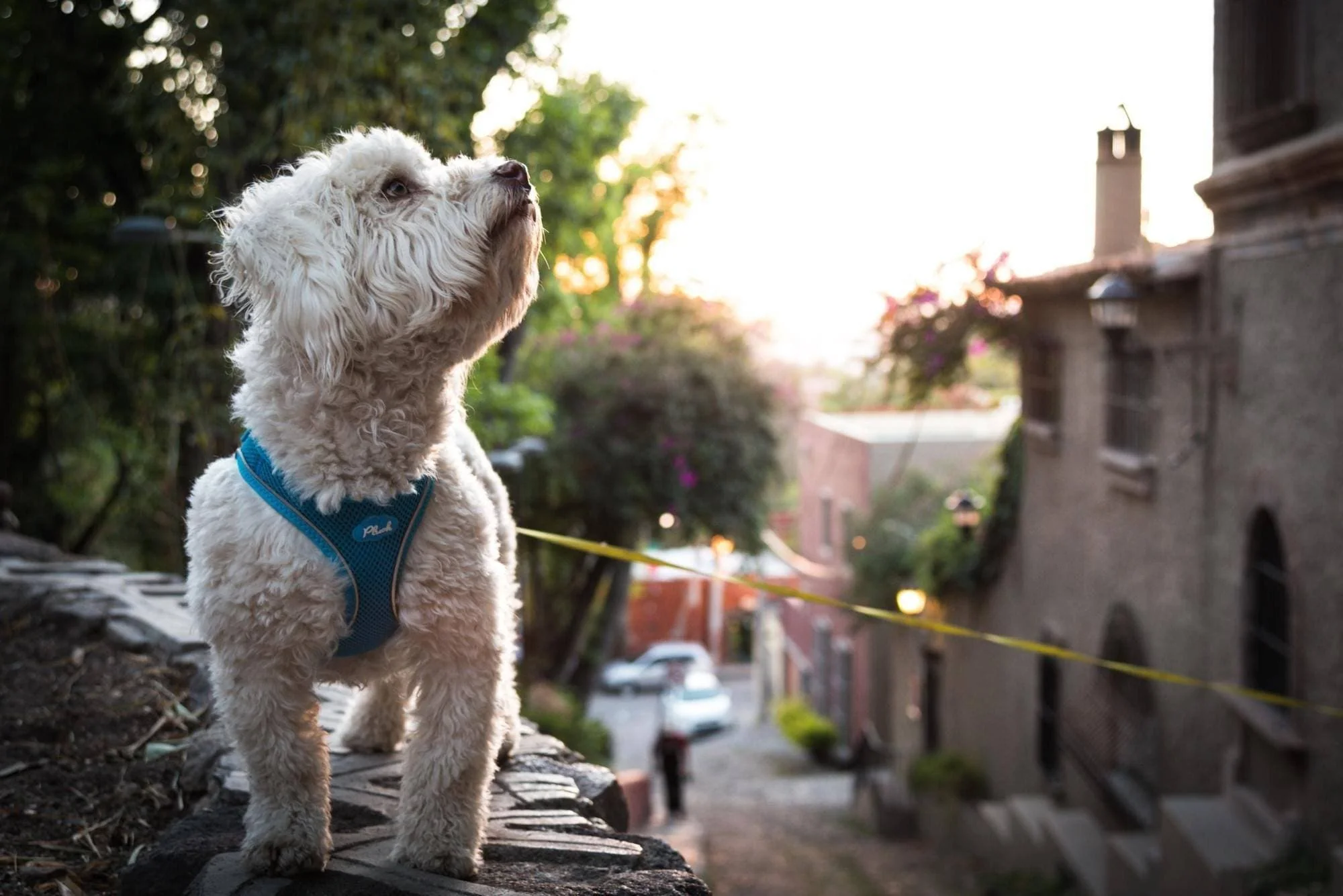 Imagen del producto 24