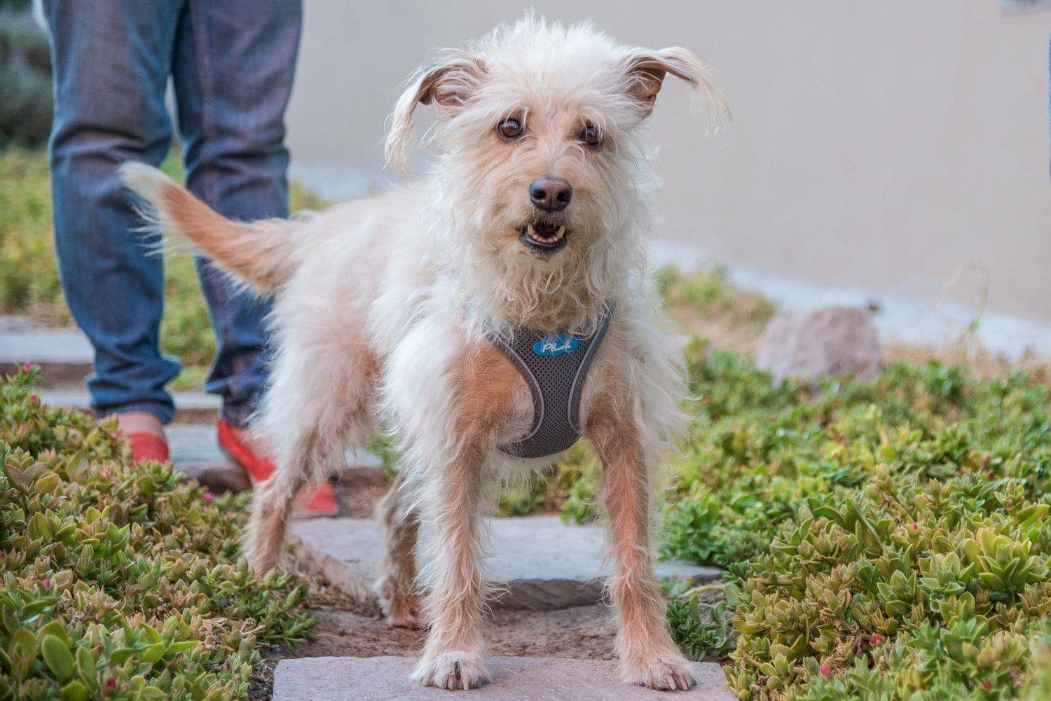 Imagen del producto 33