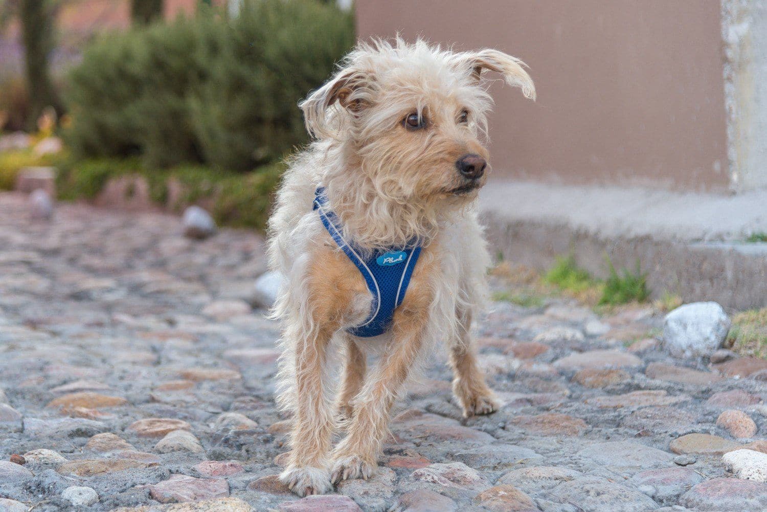 Imagen del producto 40