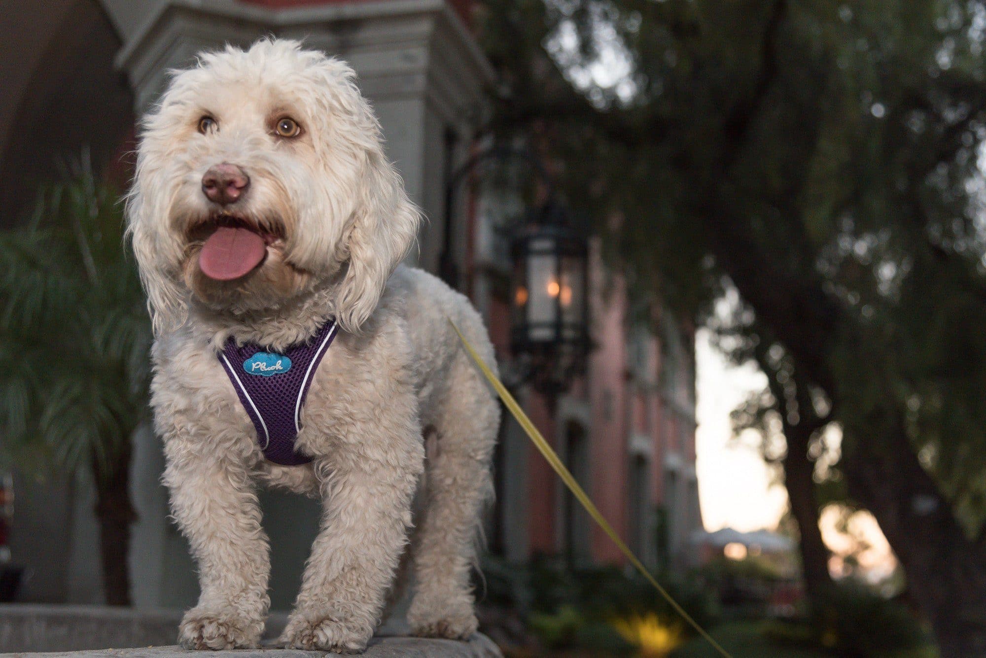 Imagen del producto 6