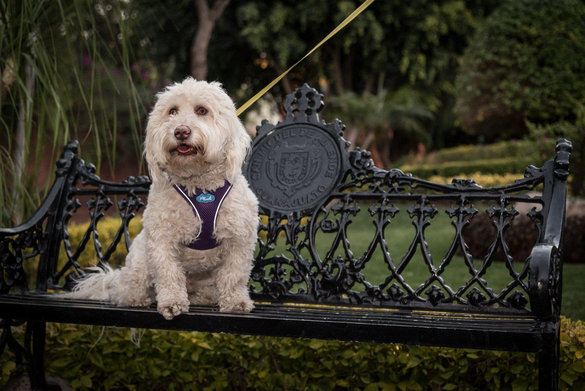 Imagen del producto 7