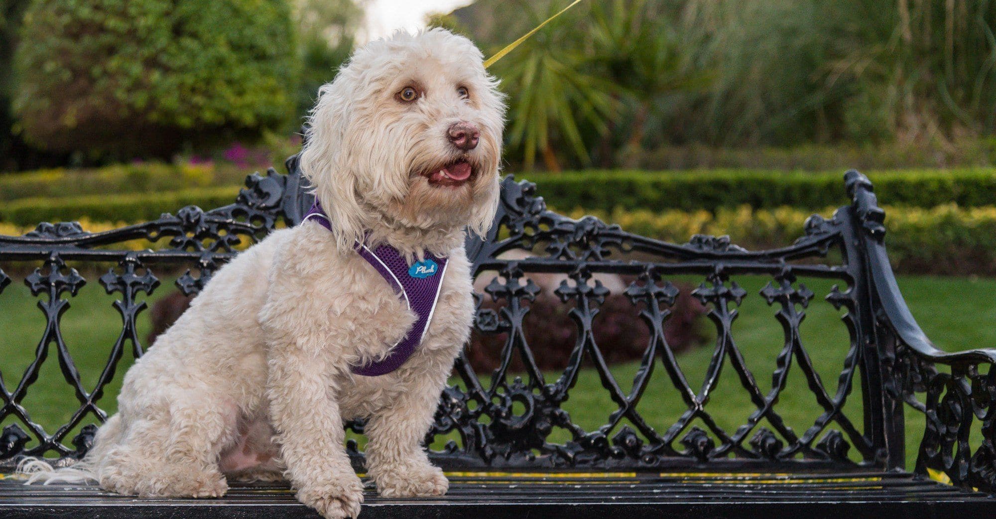 Imagen del producto 8