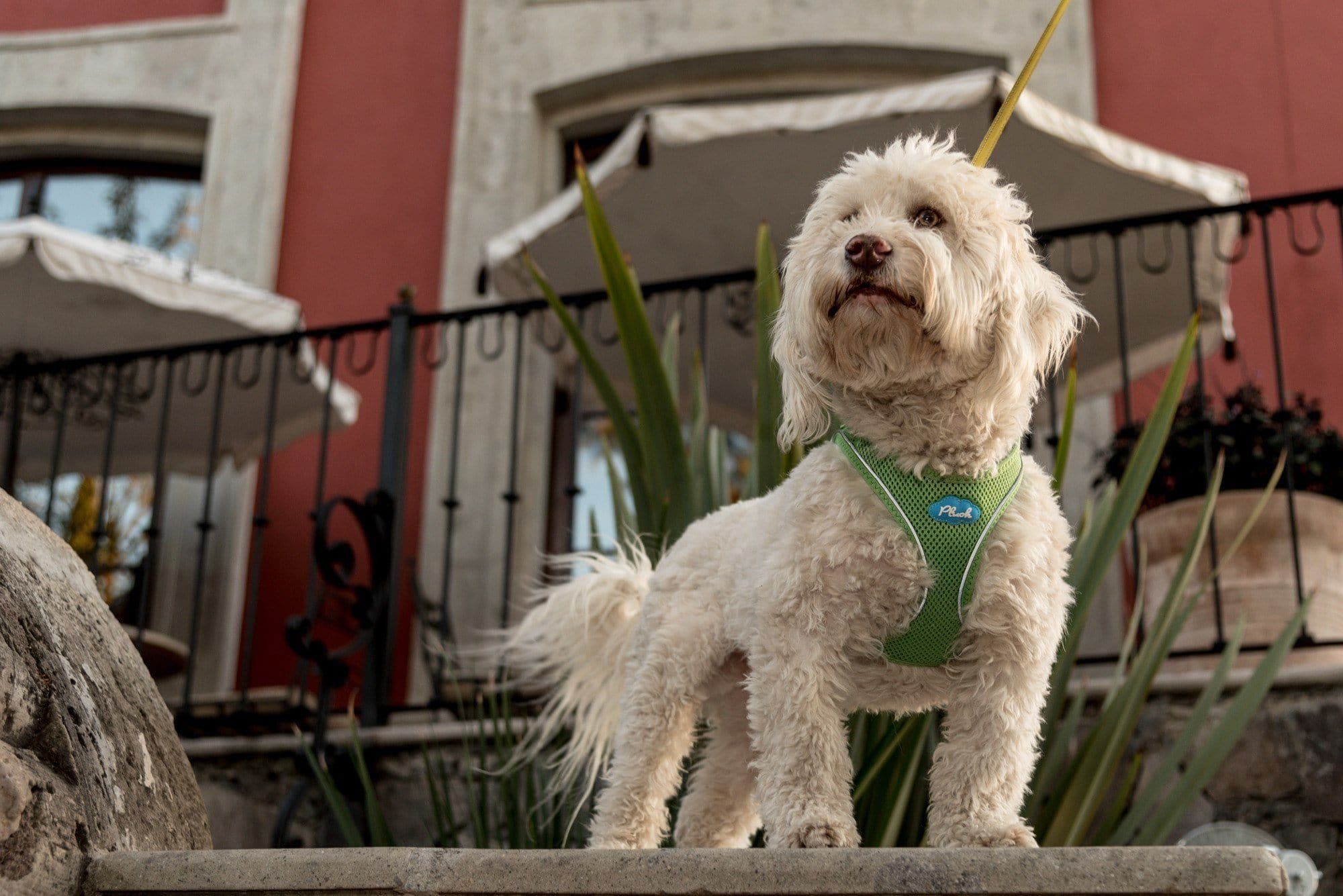 Imagen del producto 9