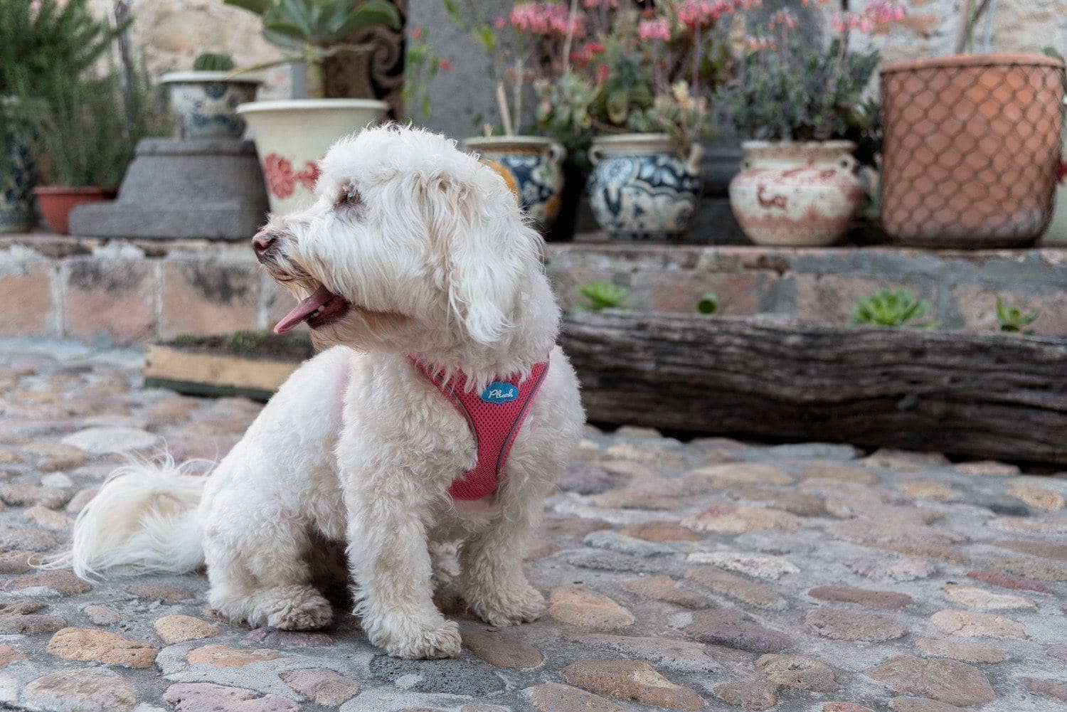 Imagen del producto 13