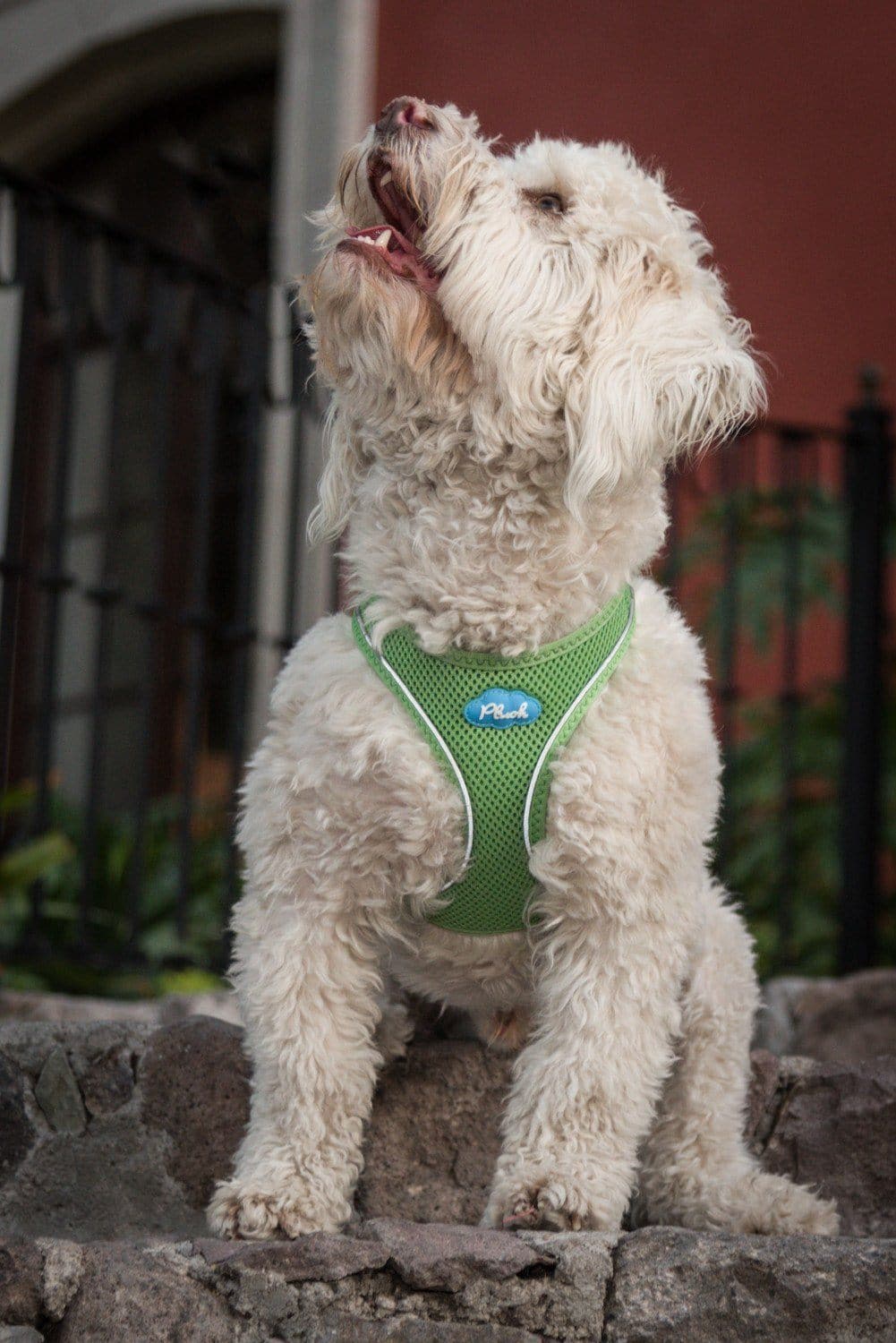 Imagen del producto 18