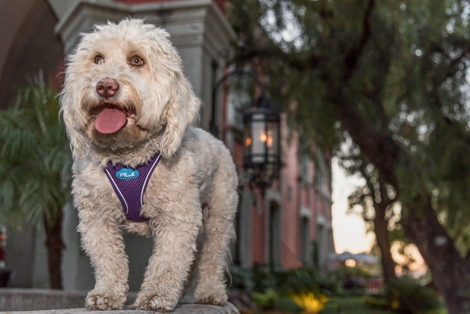 Imagen del producto 16