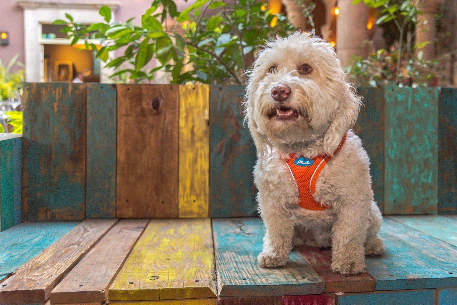 Imagen del producto 21