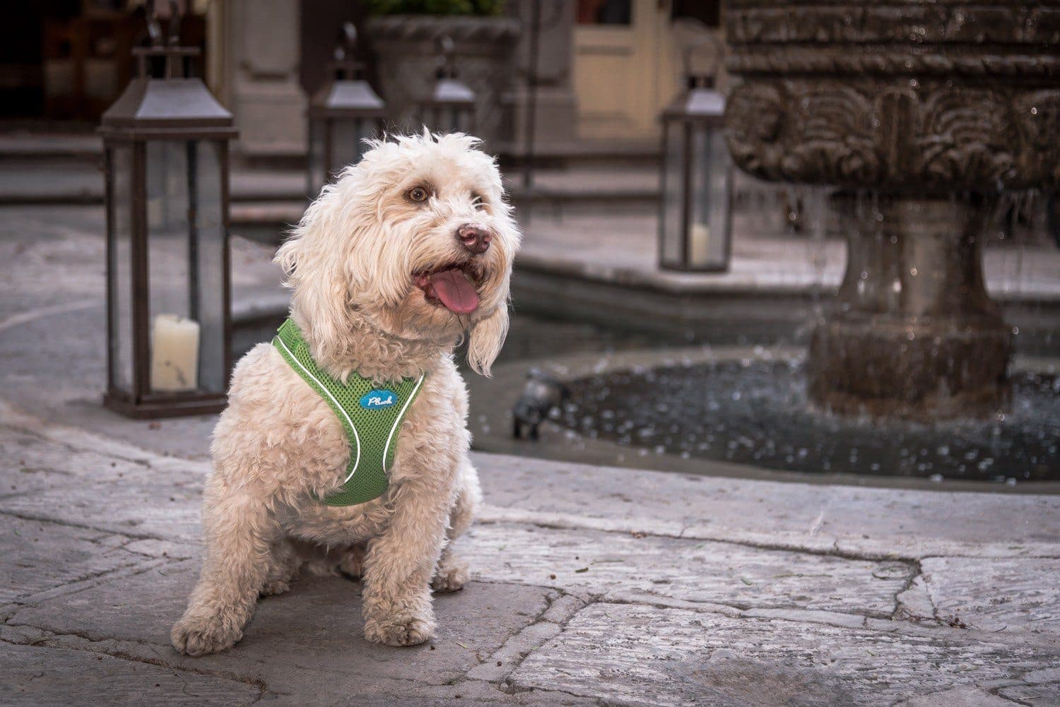 Imagen del producto 19