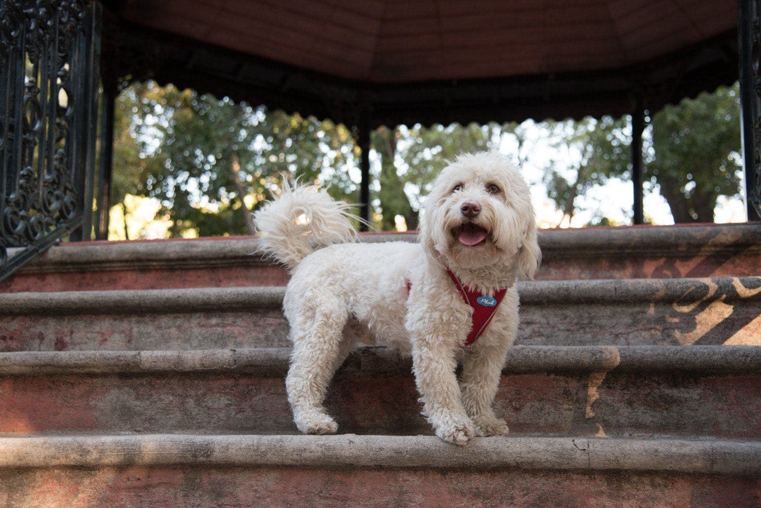 Imagen del producto 32